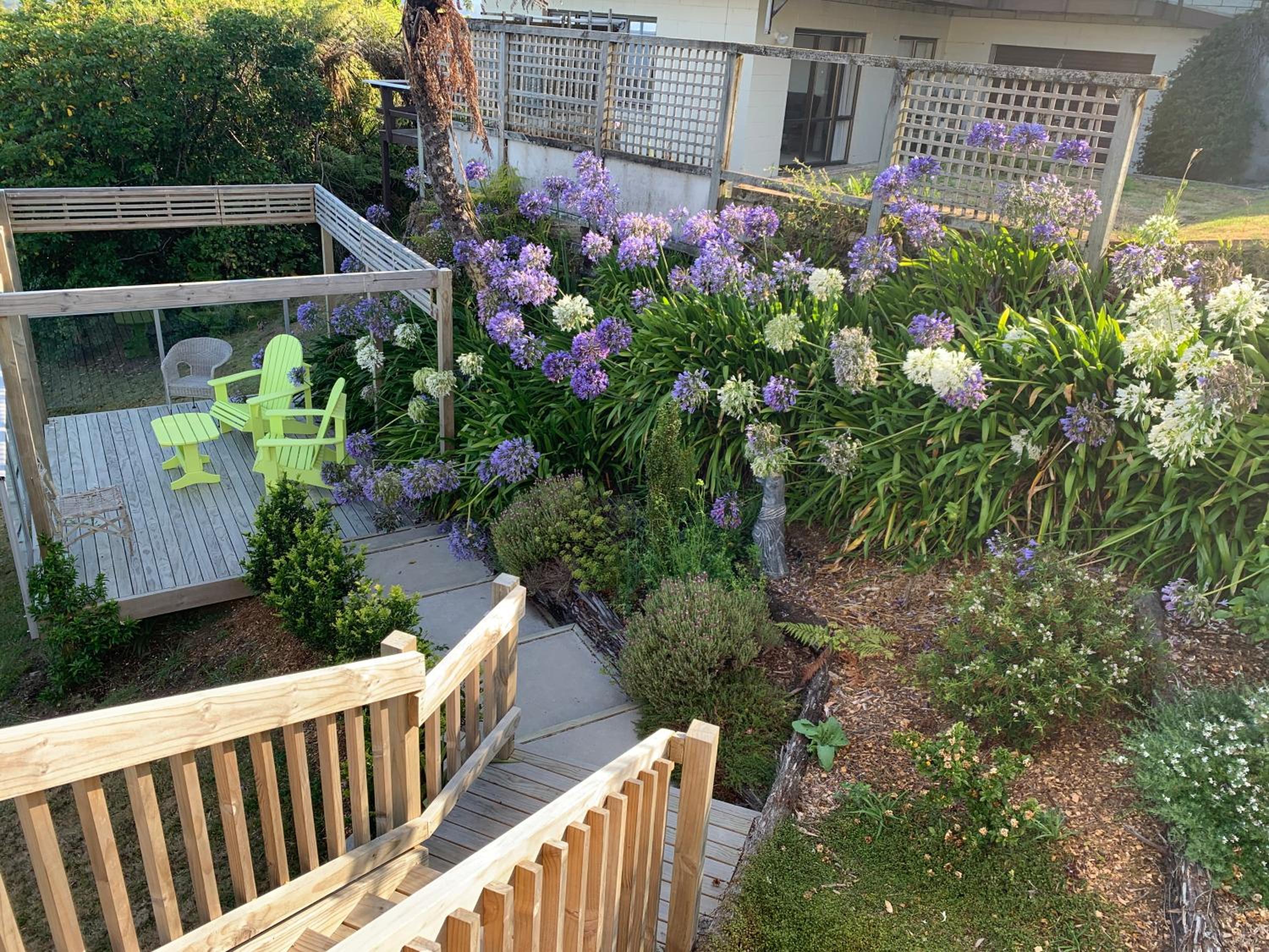 Photo 29