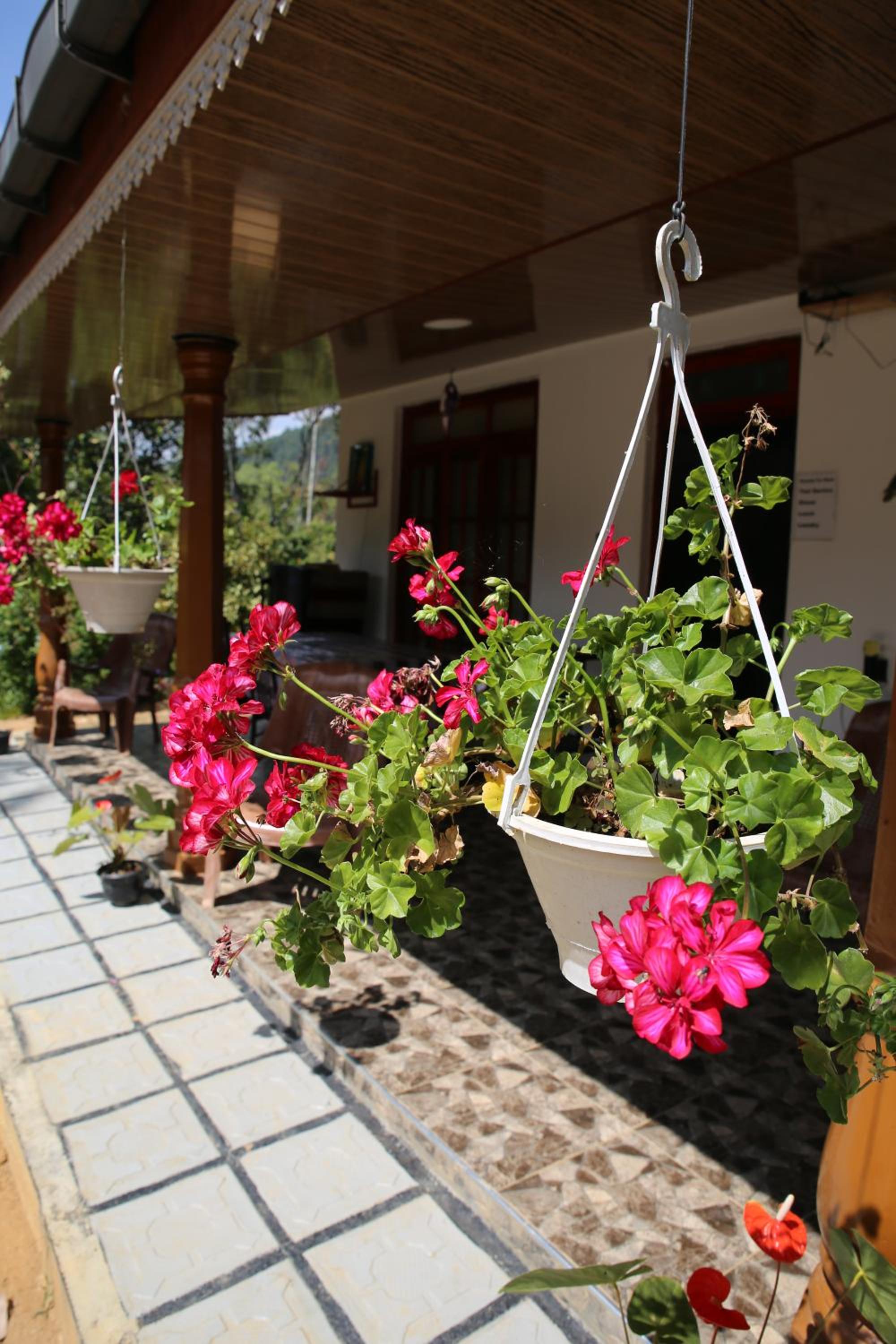 Cinnamon Homestay ella