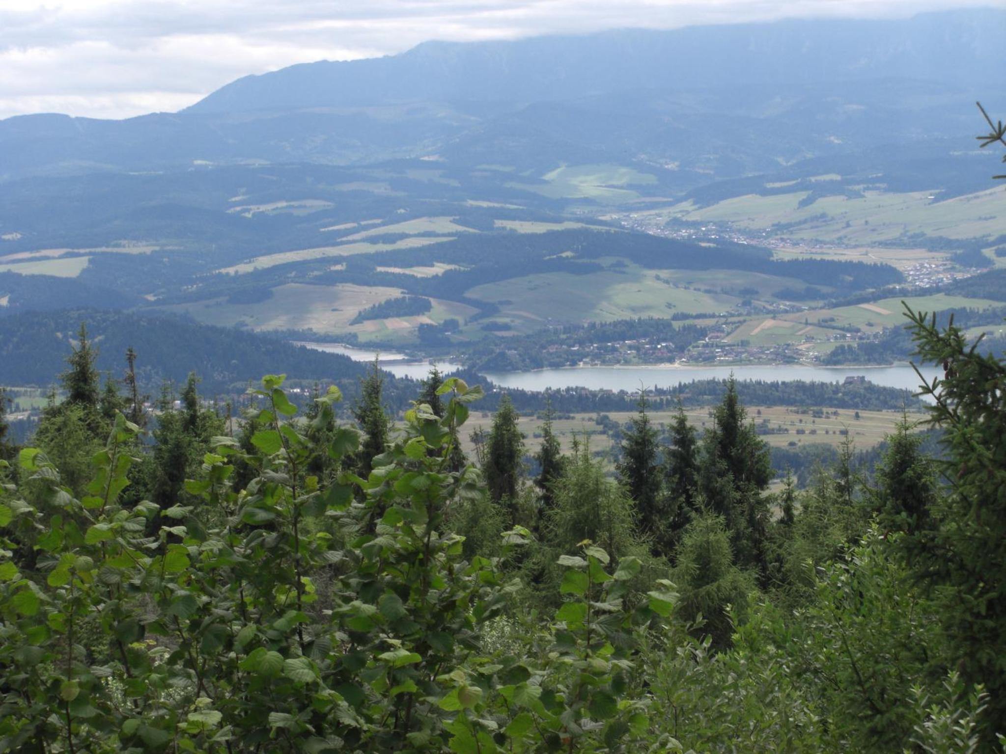 Photo 48