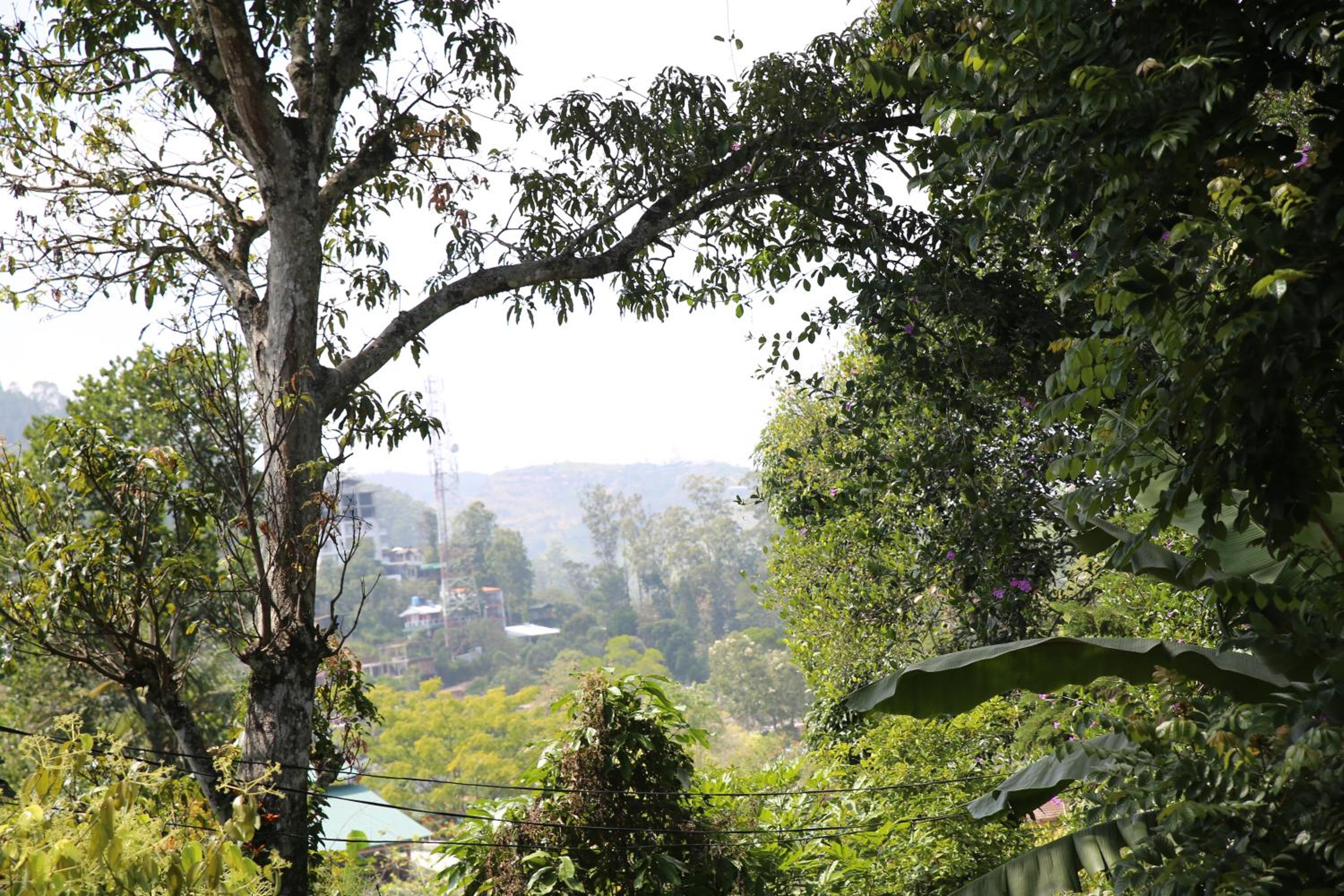 Cinnamon Homestay ella