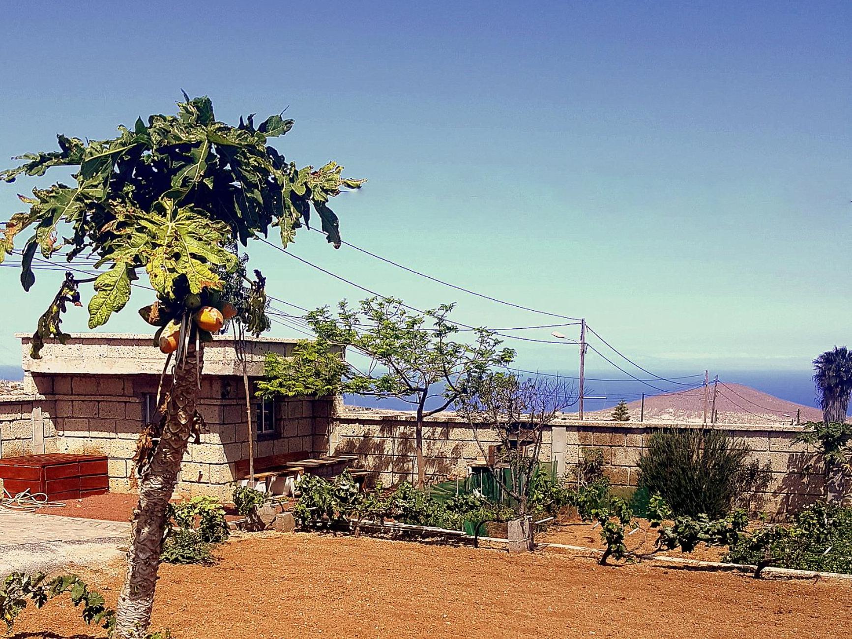 Casa del Sur, en el Sur de Tenerife view 4