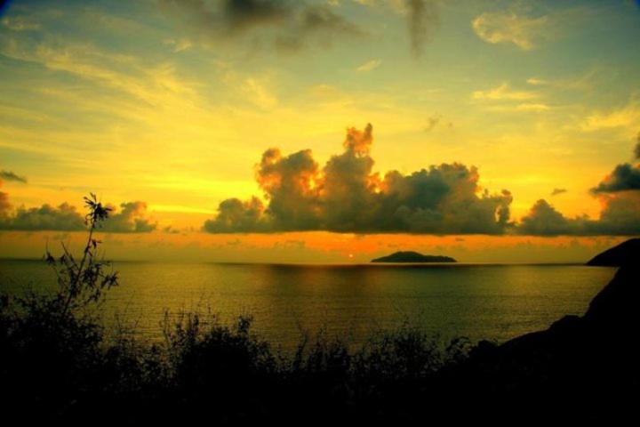 Photo 49