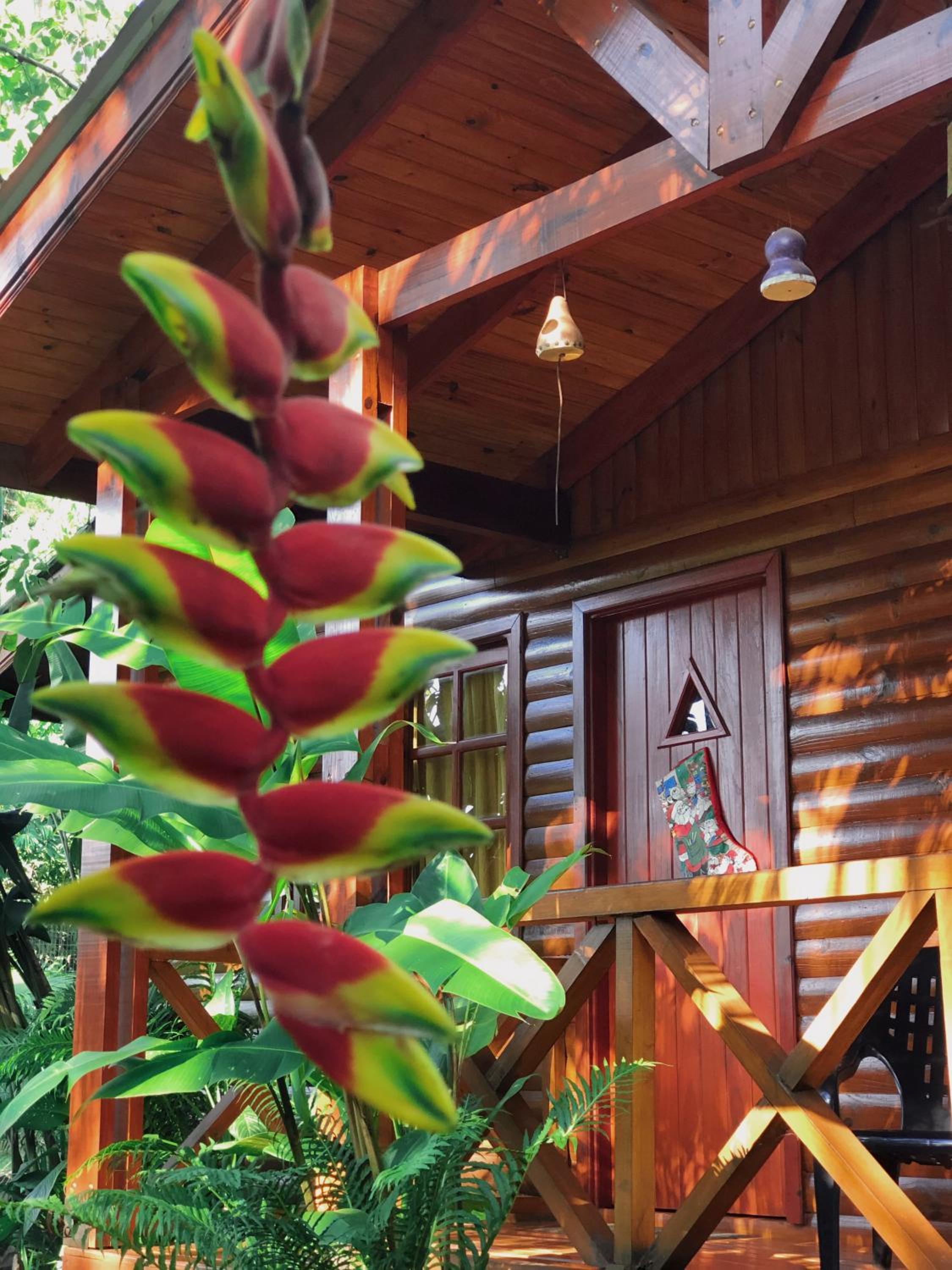 Terra Lodge