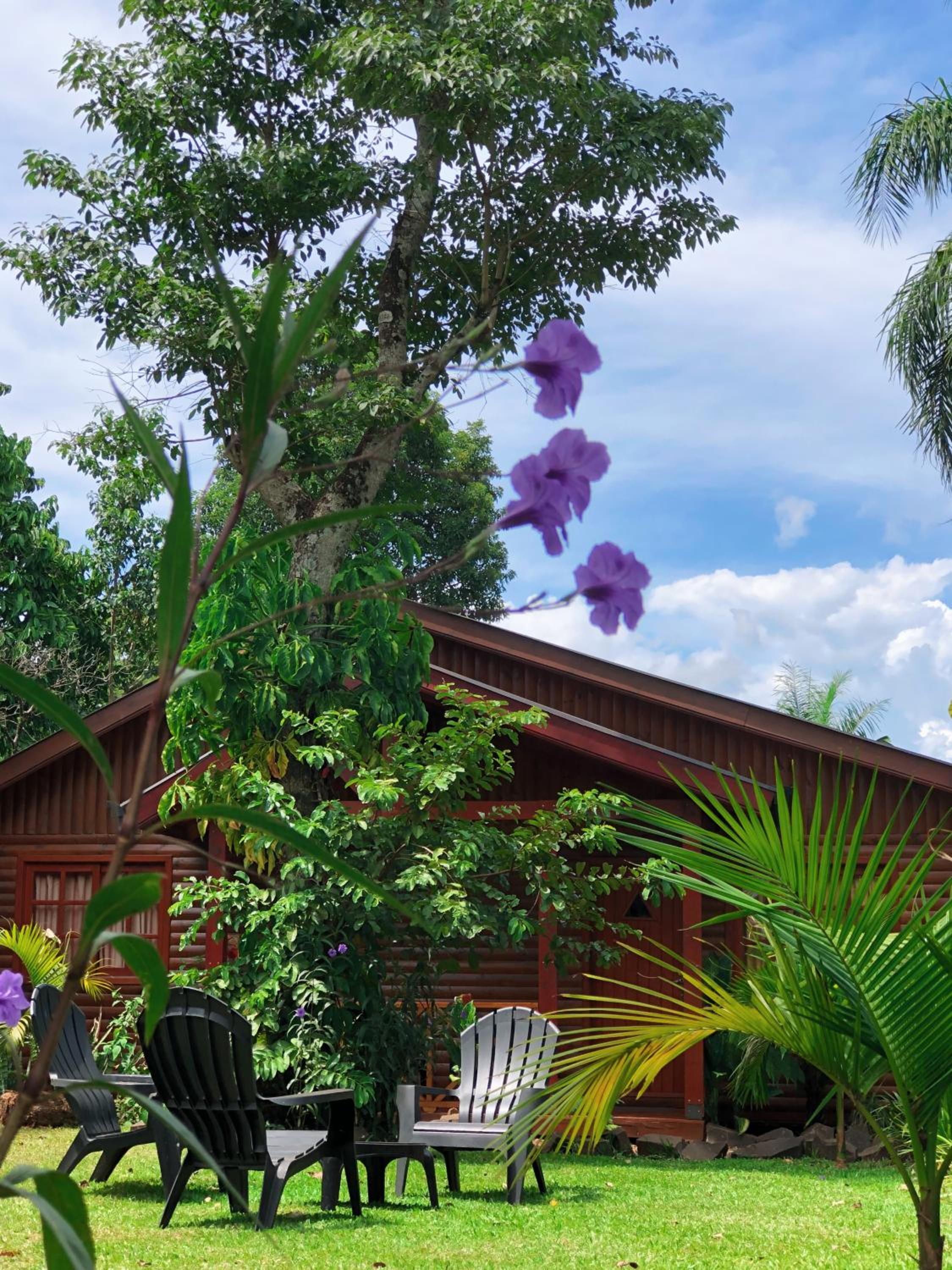 Terra Lodge
