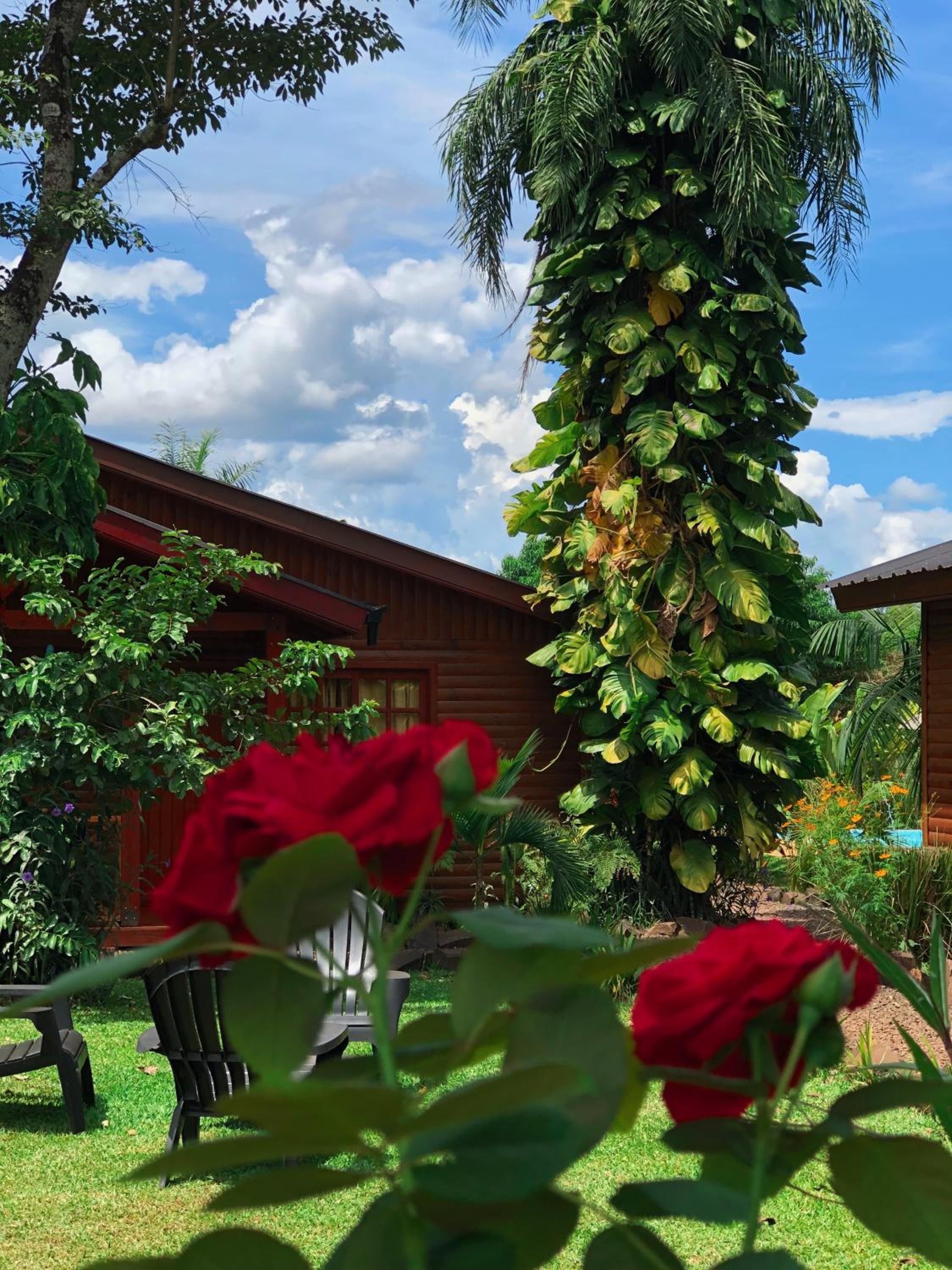 Terra Lodge