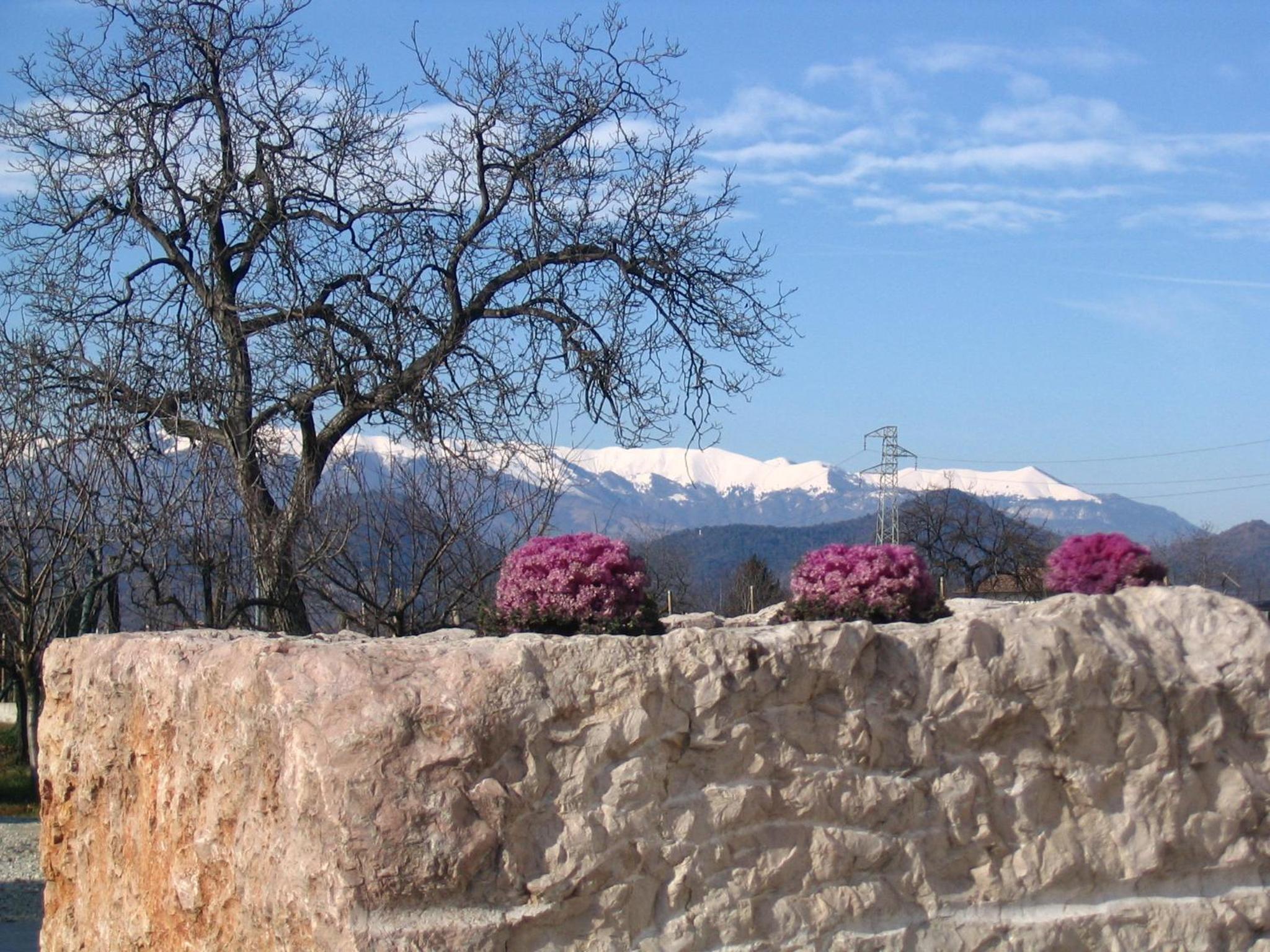 Col Delle Rane