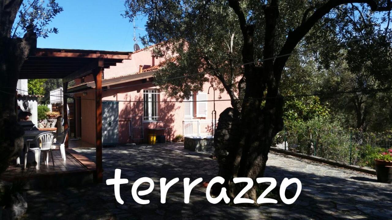 Photo 43