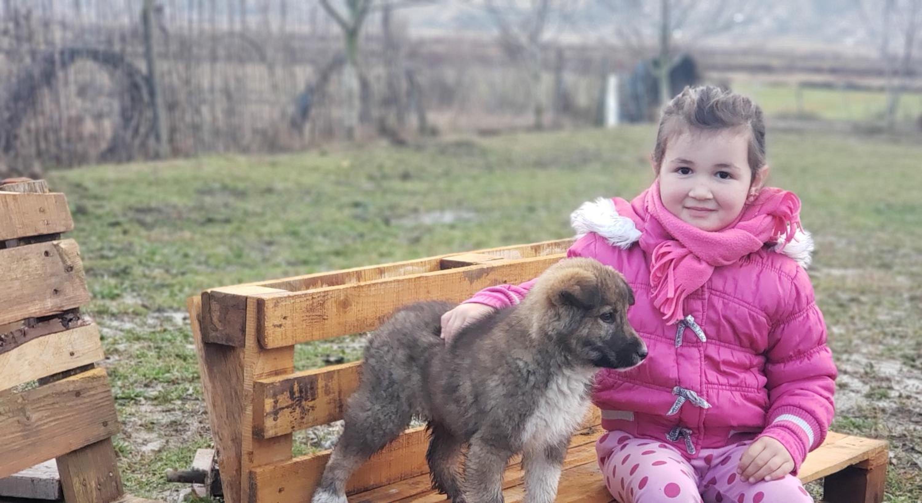 Life on the farm