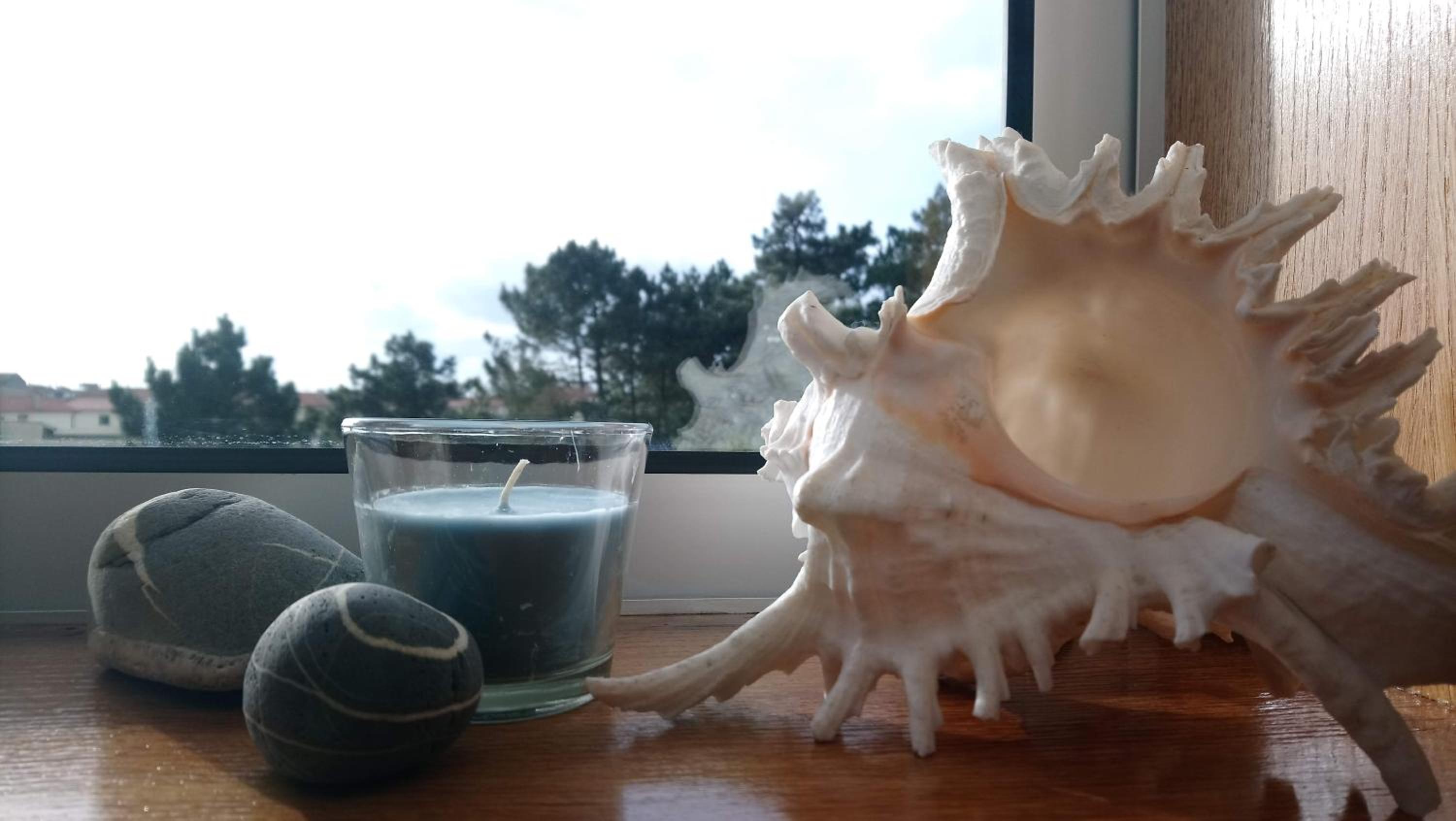 Photo 33