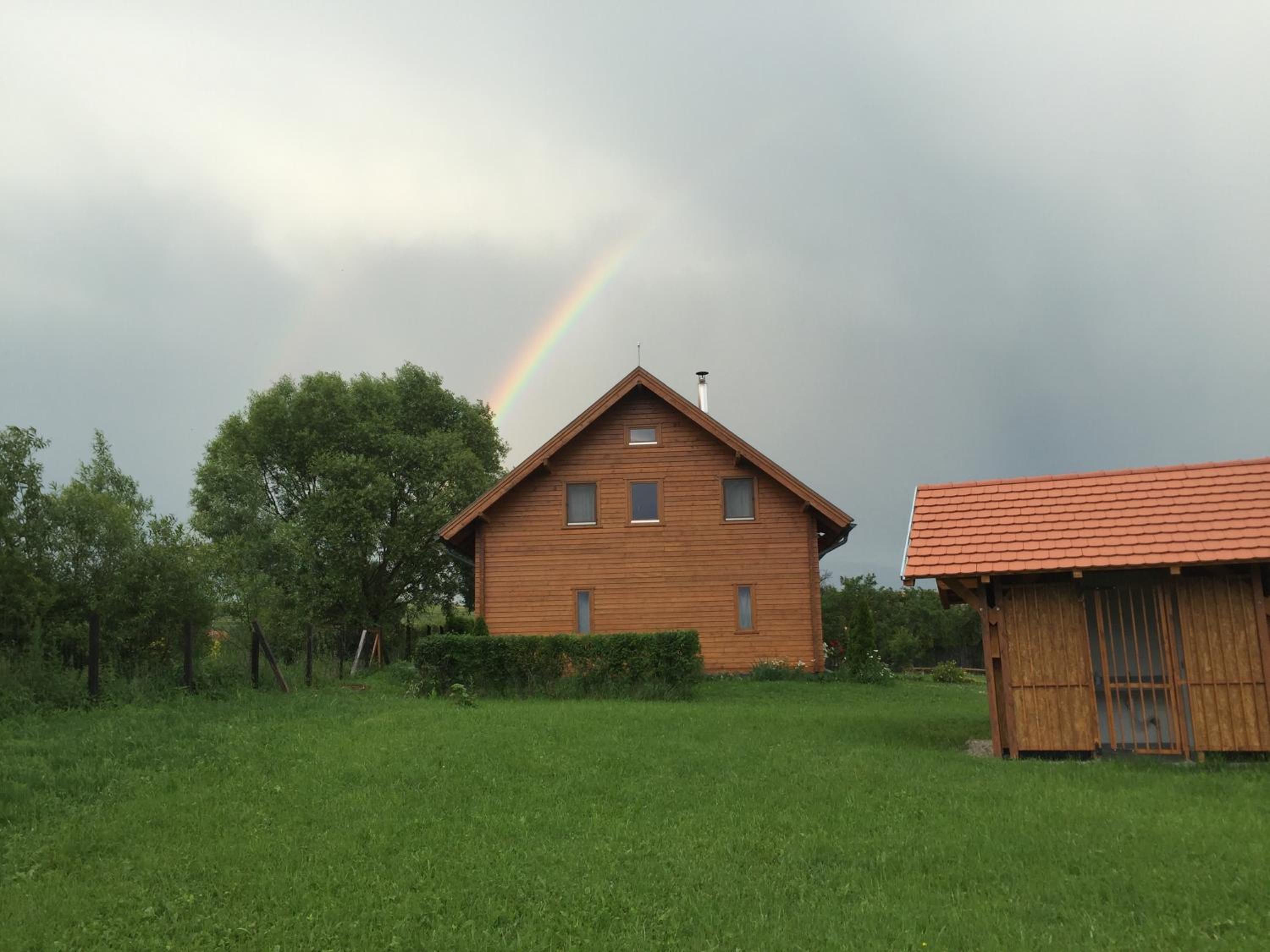 Photo 23