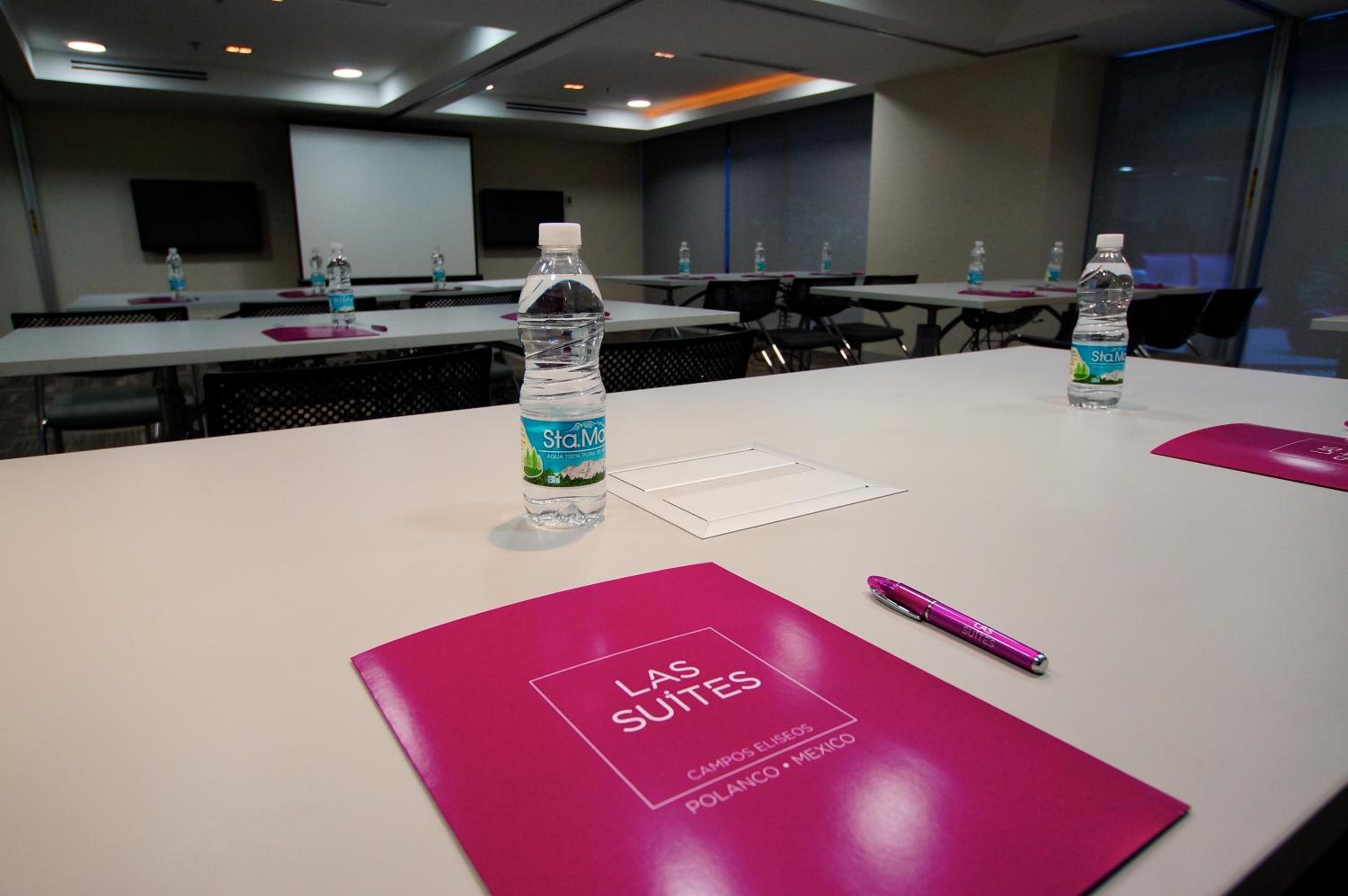 Las Suites Campos Eliseos 3