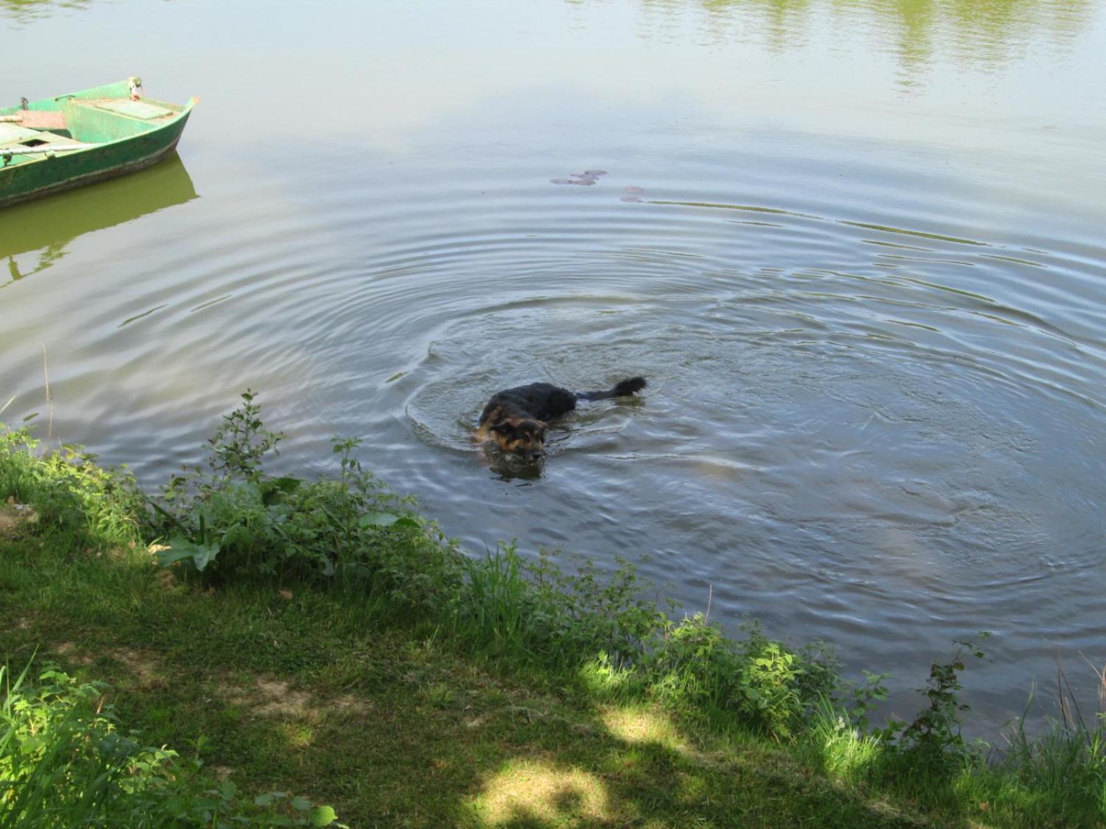 Florennes Gîte neuf 150 M2 devant un grand lac privé de 2 hectares poissonneux au milieu des bois