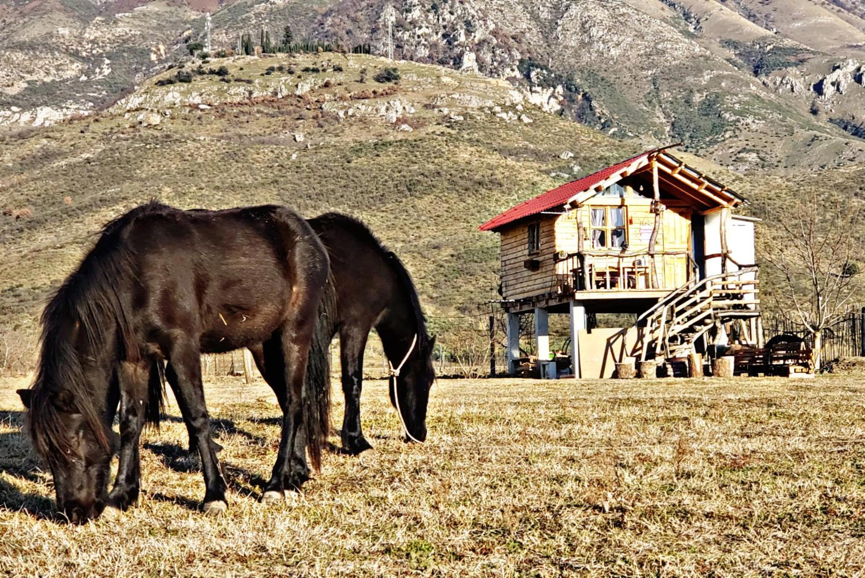 Life on the farm