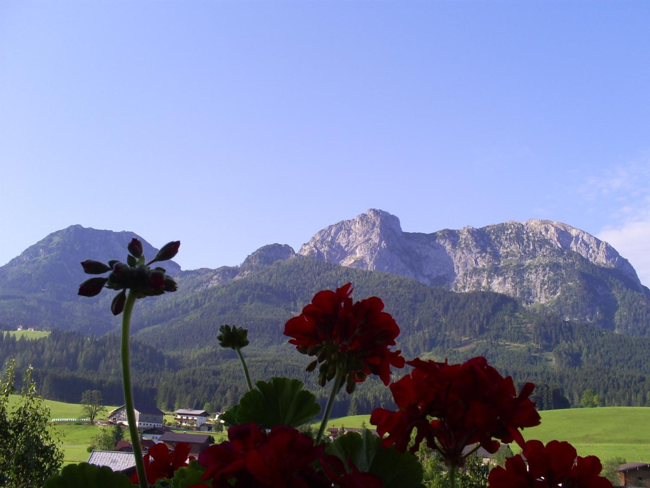 Landhaus Hirterhütte