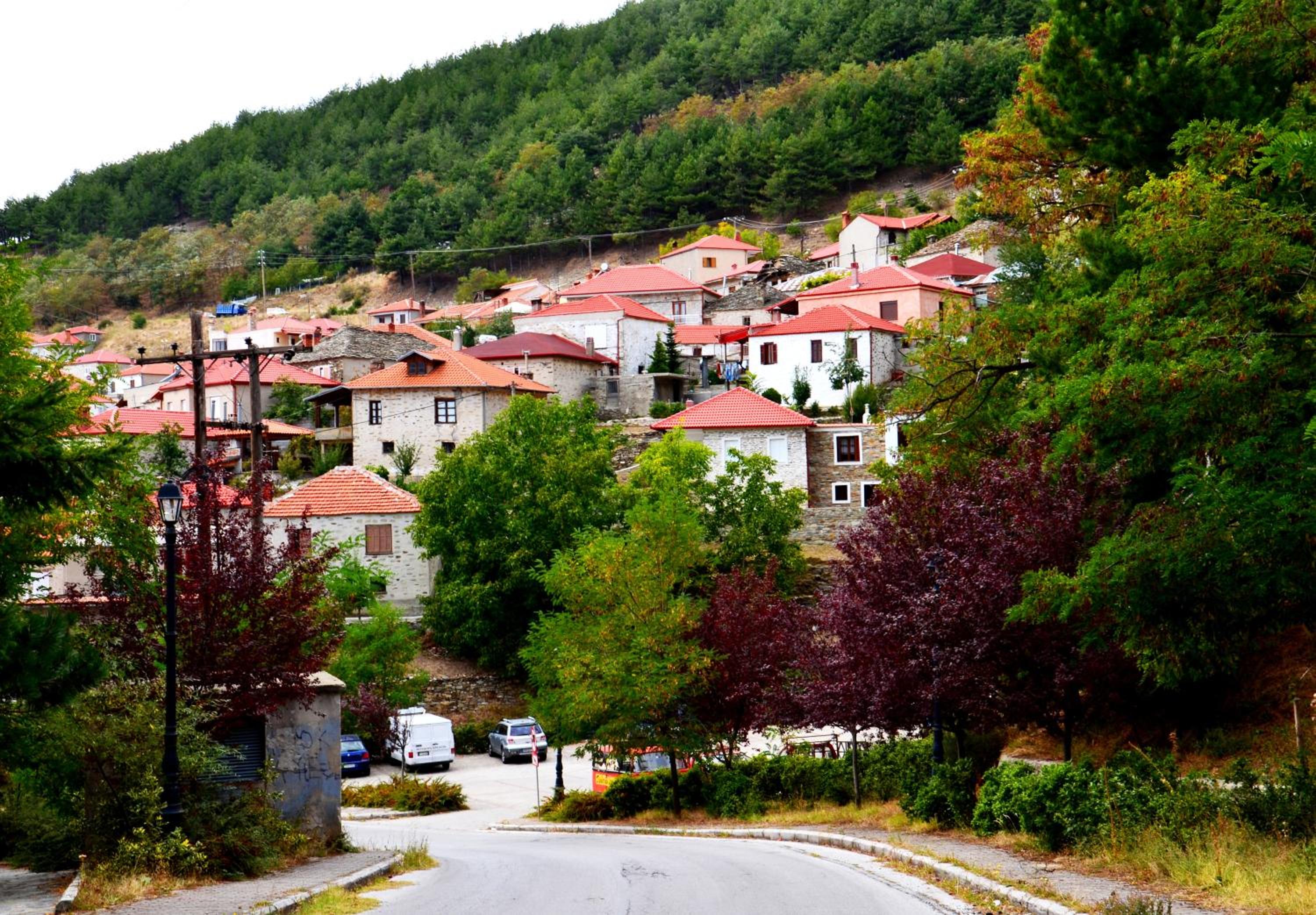Traditional Guesthouse Lanari