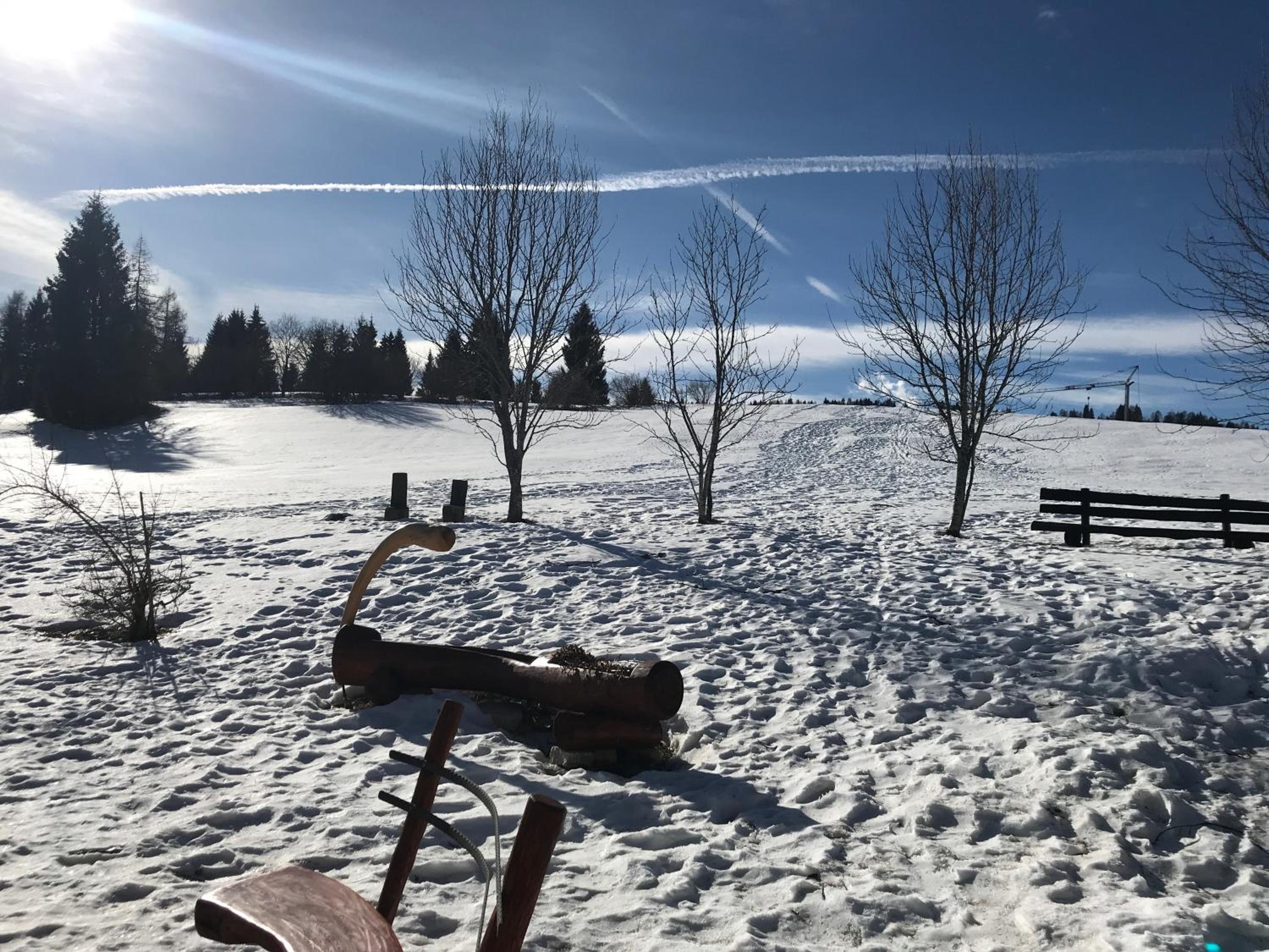 Chalet Maso Pino view 4