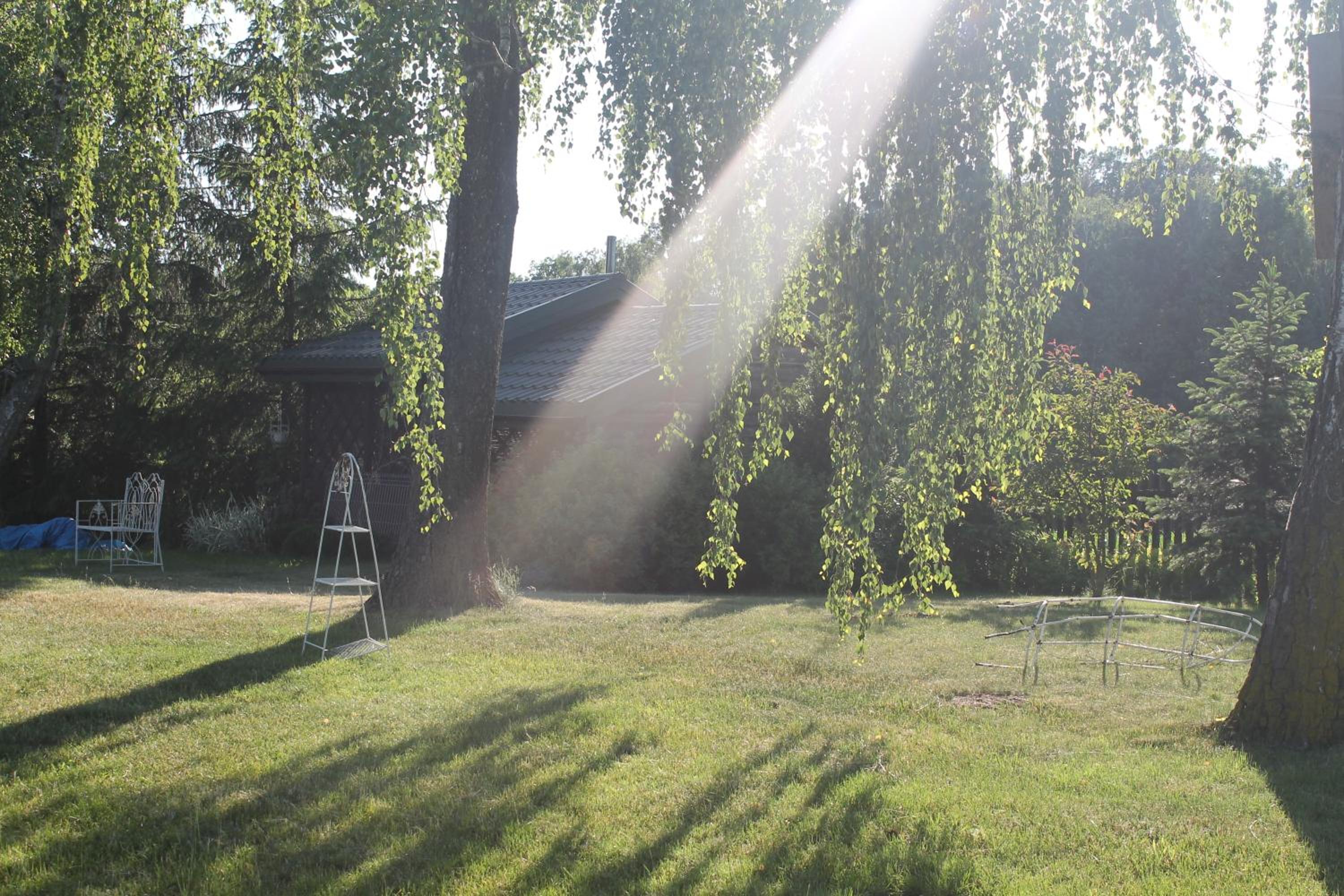 Photo 23