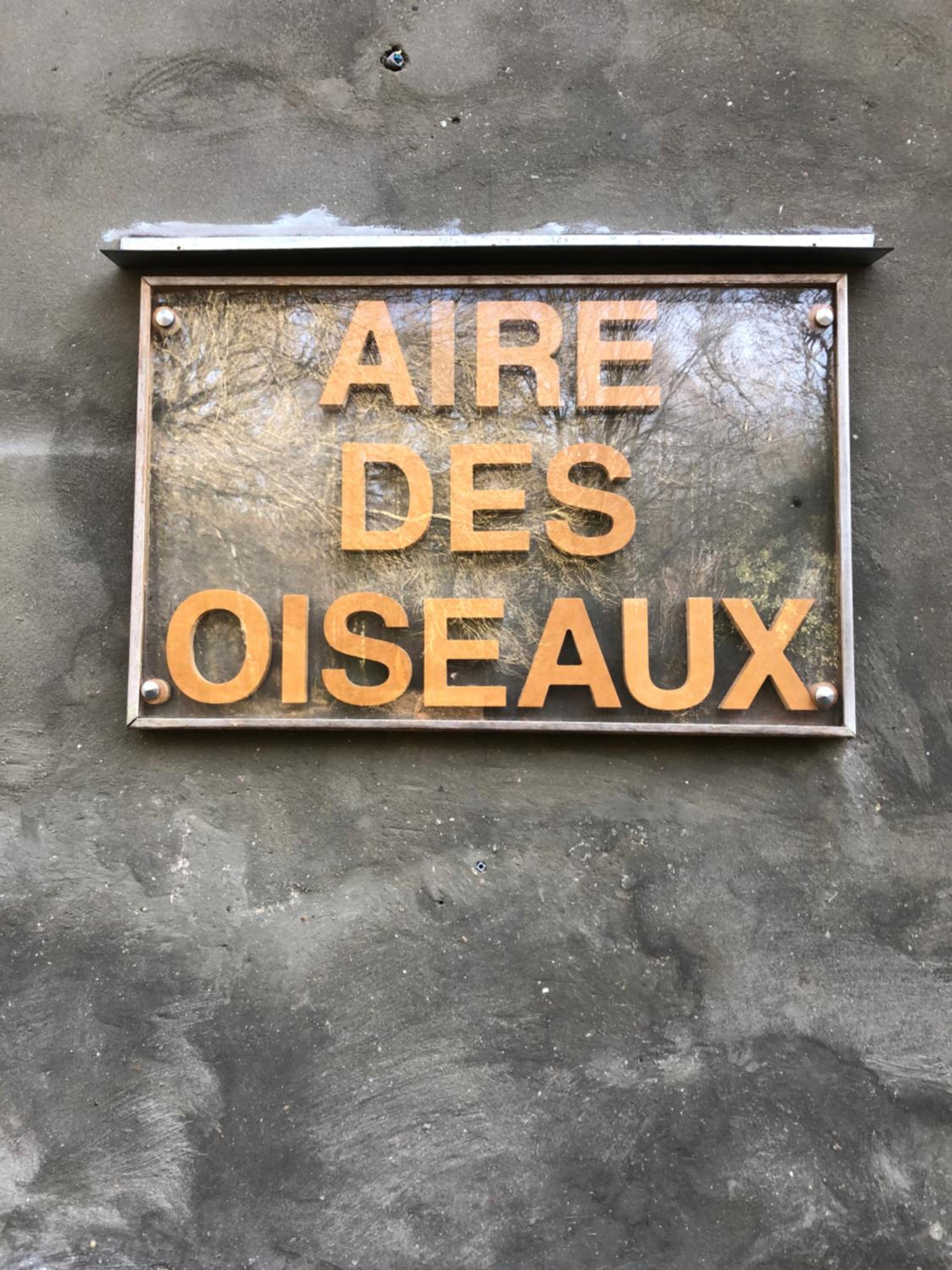 L'aire des oiseaux