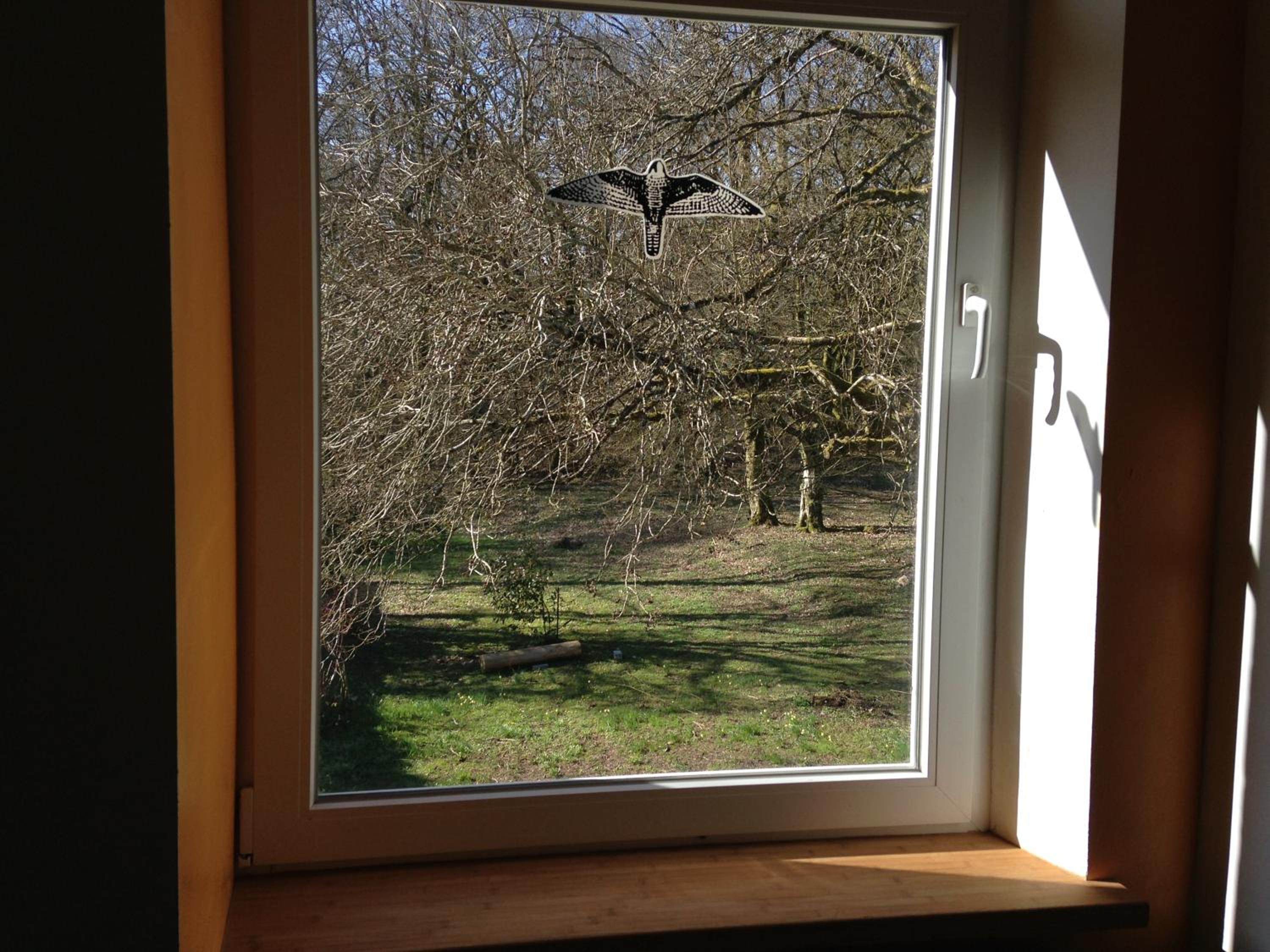 L'aire des oiseaux