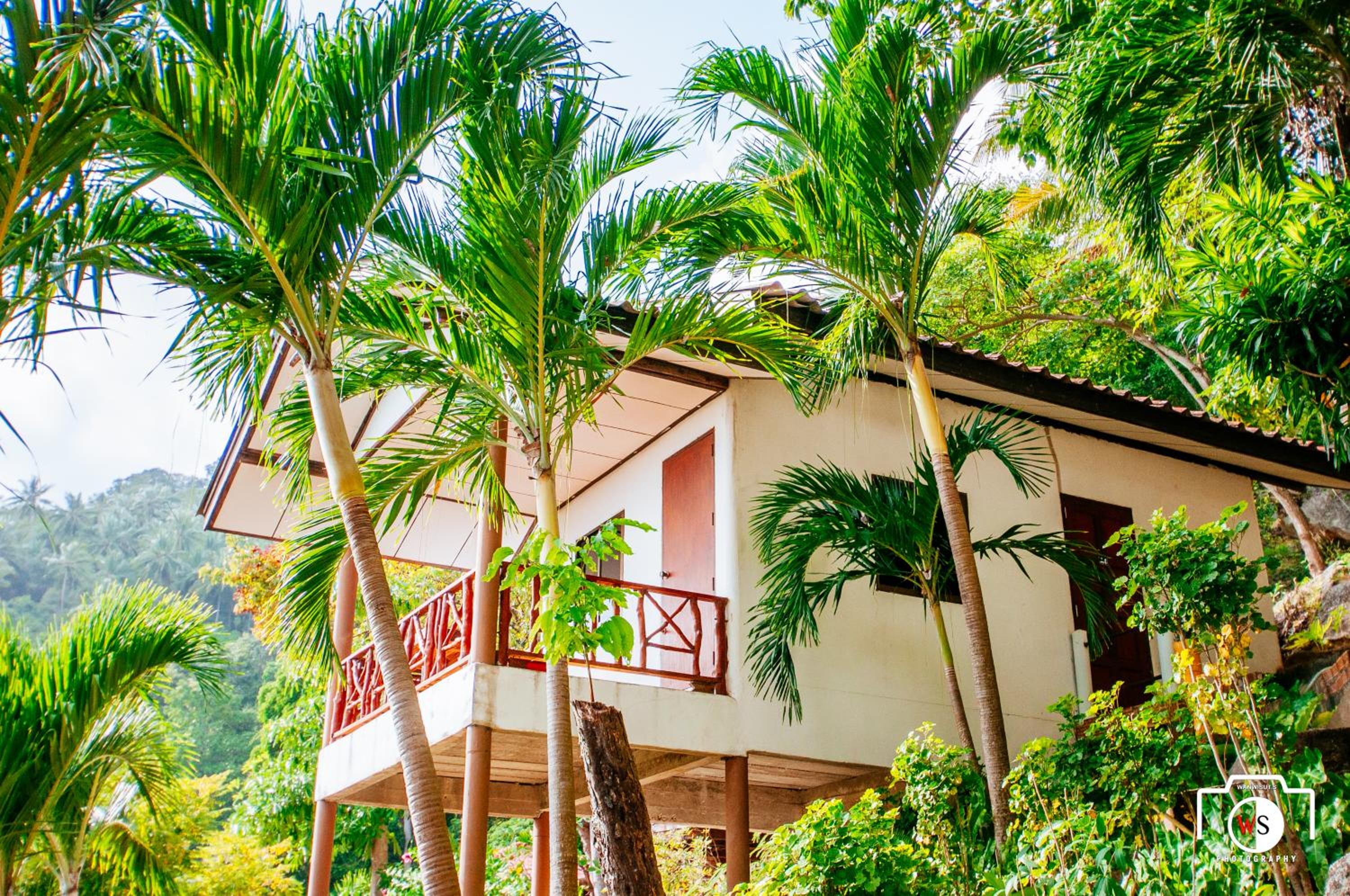 Venus Resort