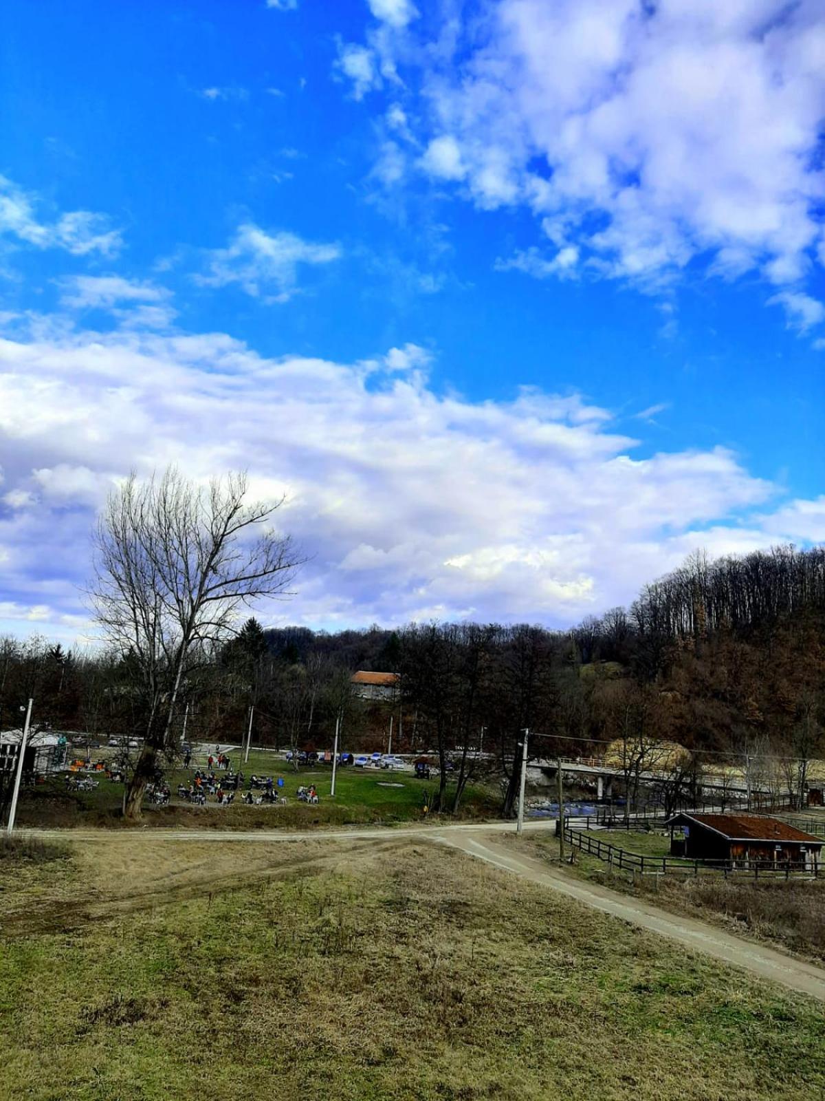 Photo 43