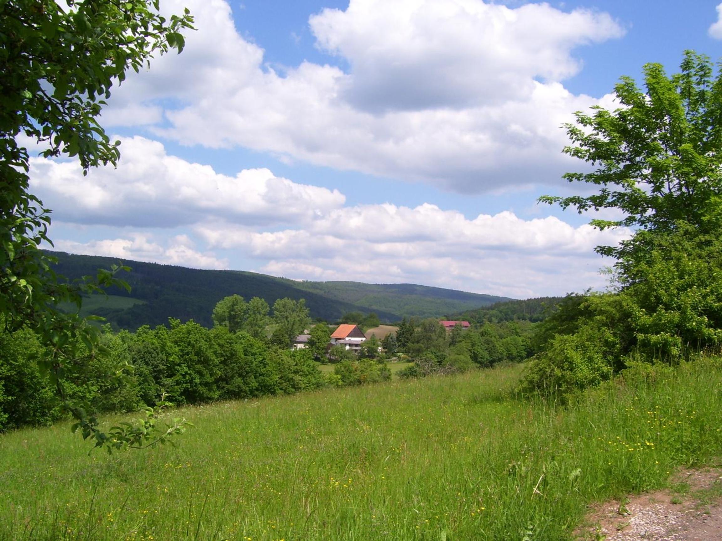 Photo 12
