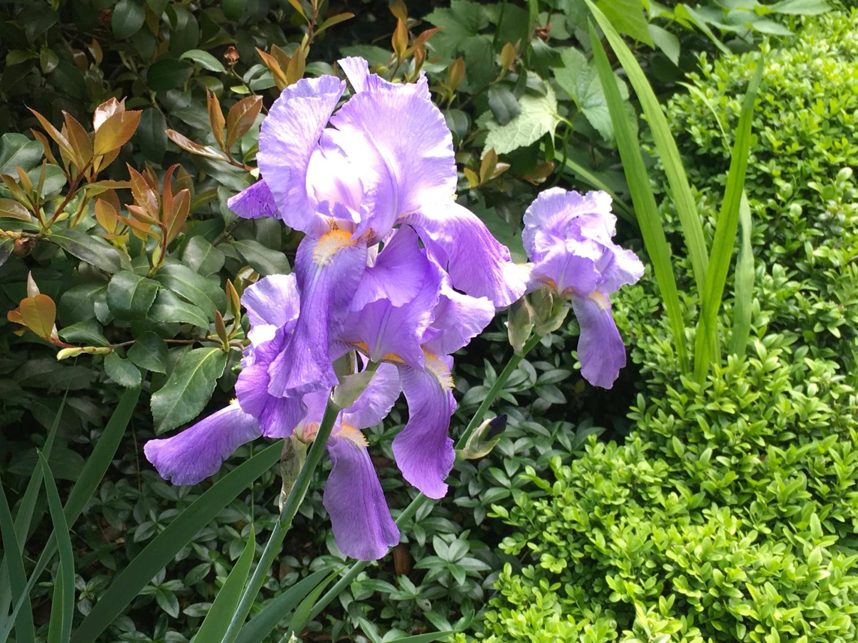 Photo 21
