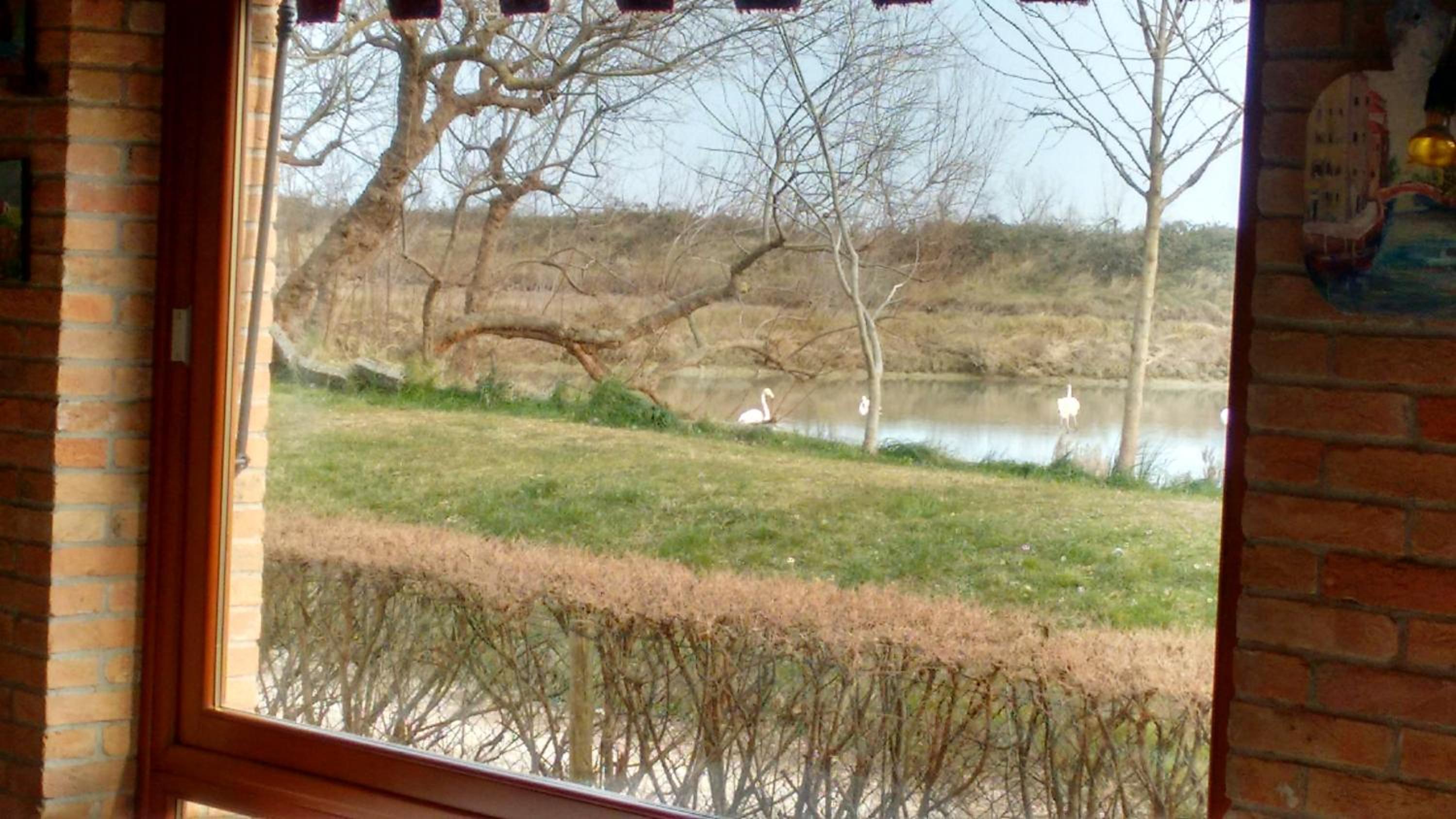 Agriturismo La Barena