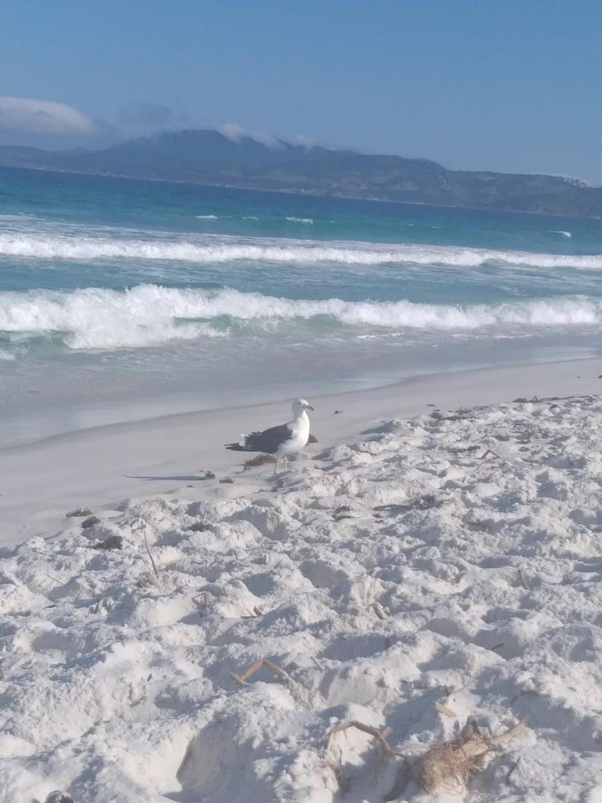 Apto Pé na Areia - Wi-Fi Gratuito - Tranquilidade à beira mar view 4
