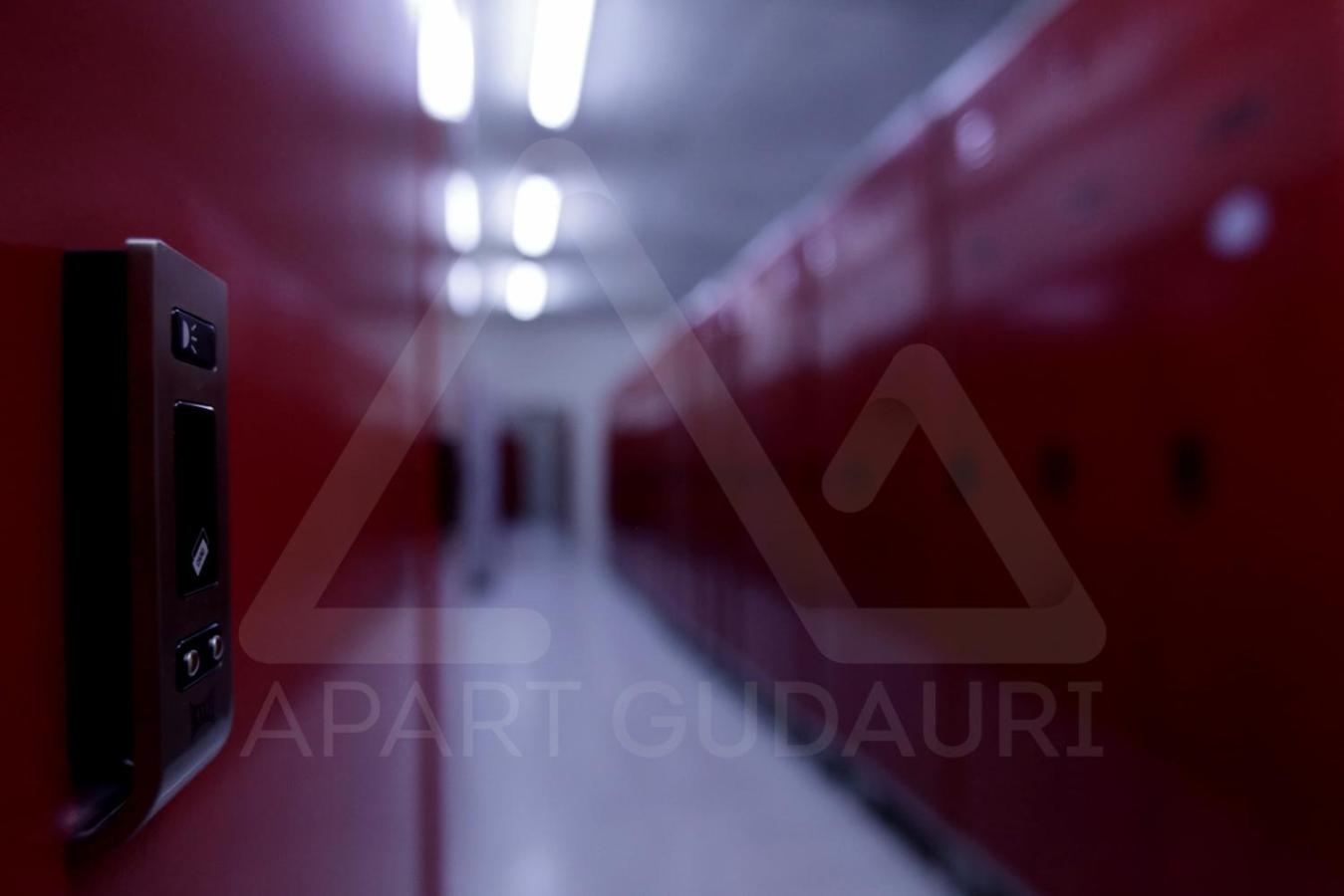 New Gudauri Atrium 240 - Apart Gudauri LLC, photo 32