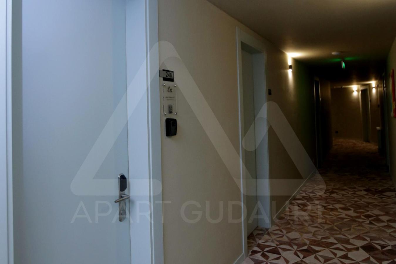New Gudauri Atrium 240 - Apart Gudauri LLC, photo 17