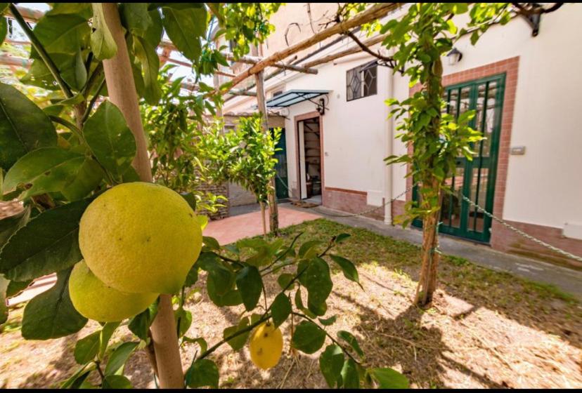 Ravello view photo 5
