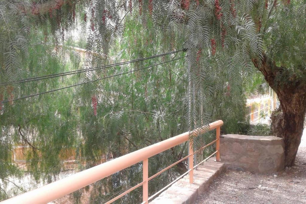 Cielo de Tierra 1: Balcón a los molles