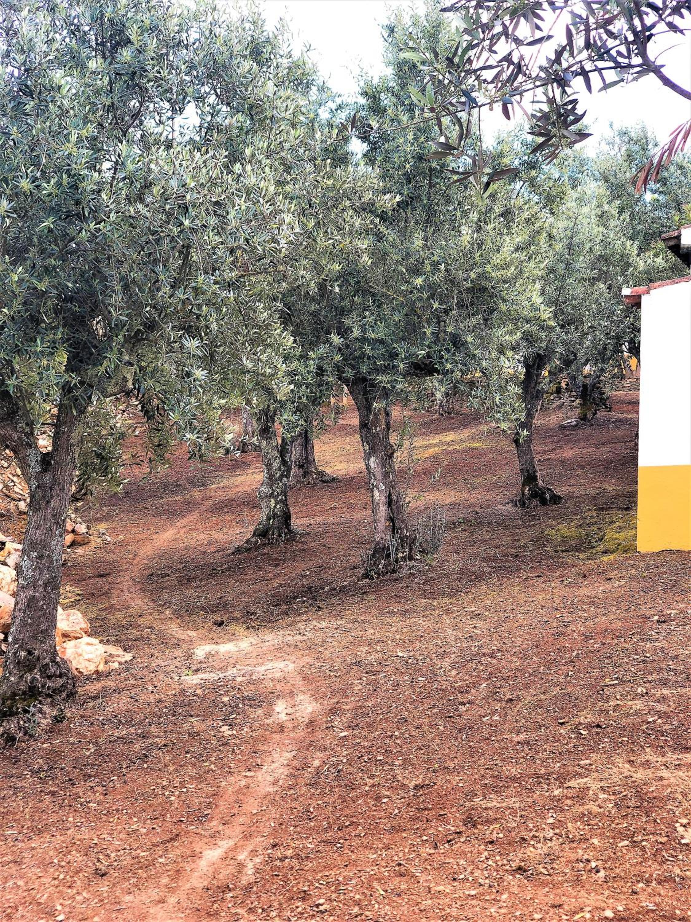Photo 43