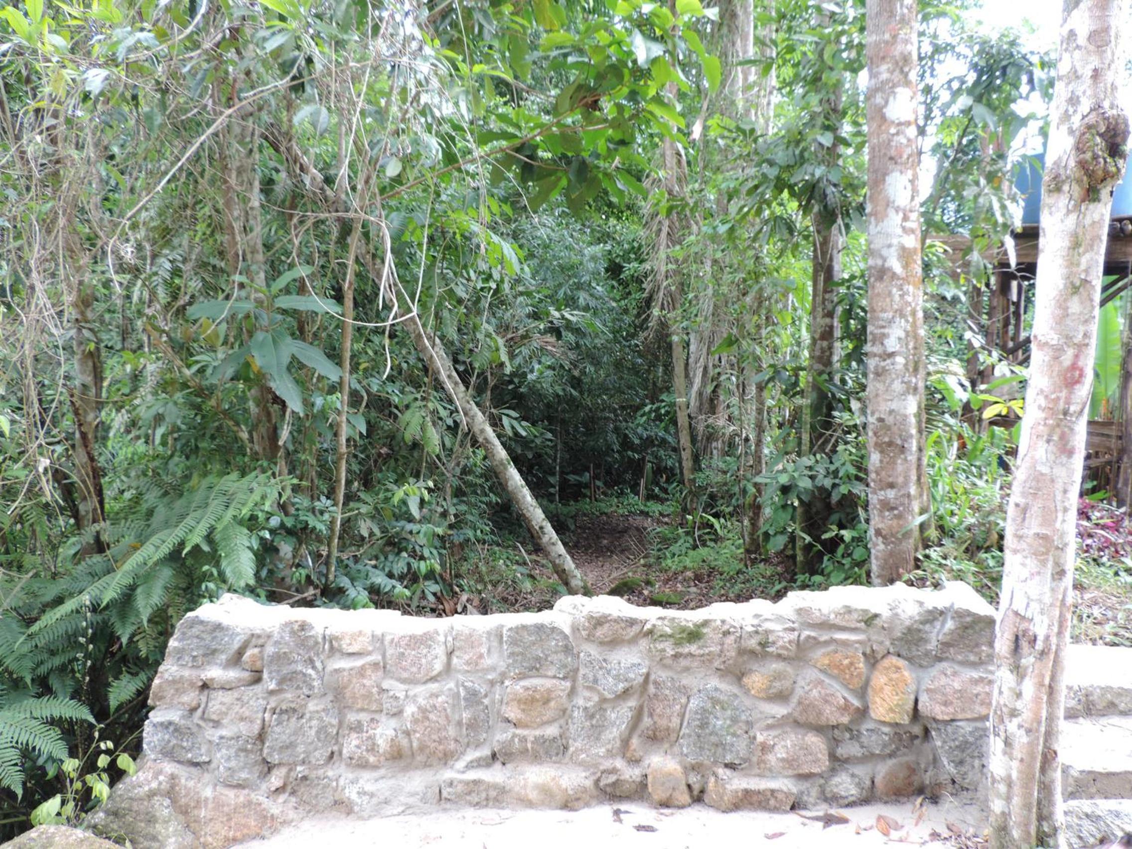 Casa Orquídeas Ubatuba Praia da Lagoinha