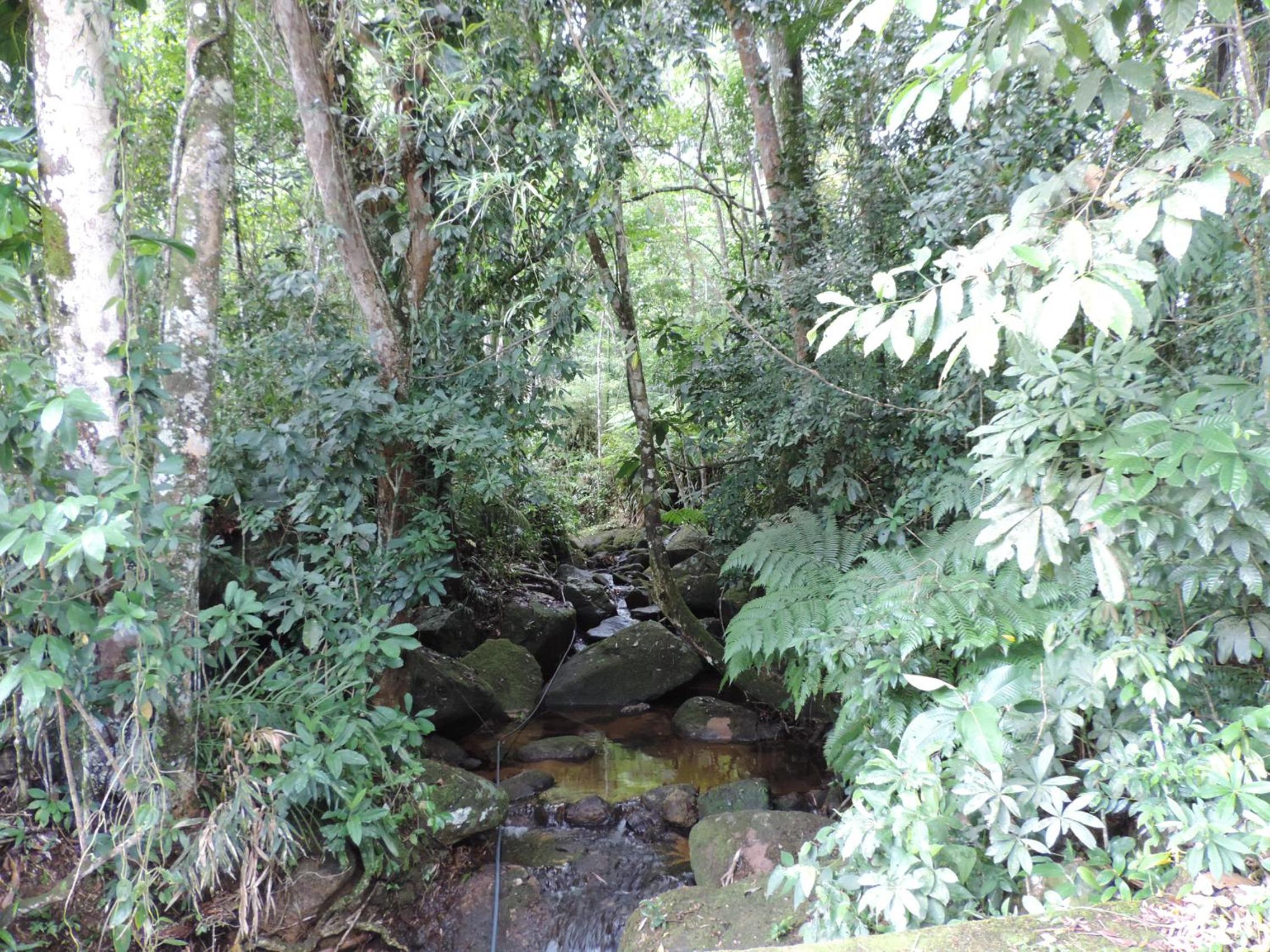 Casa Orquídeas Ubatuba Praia da Lagoinha