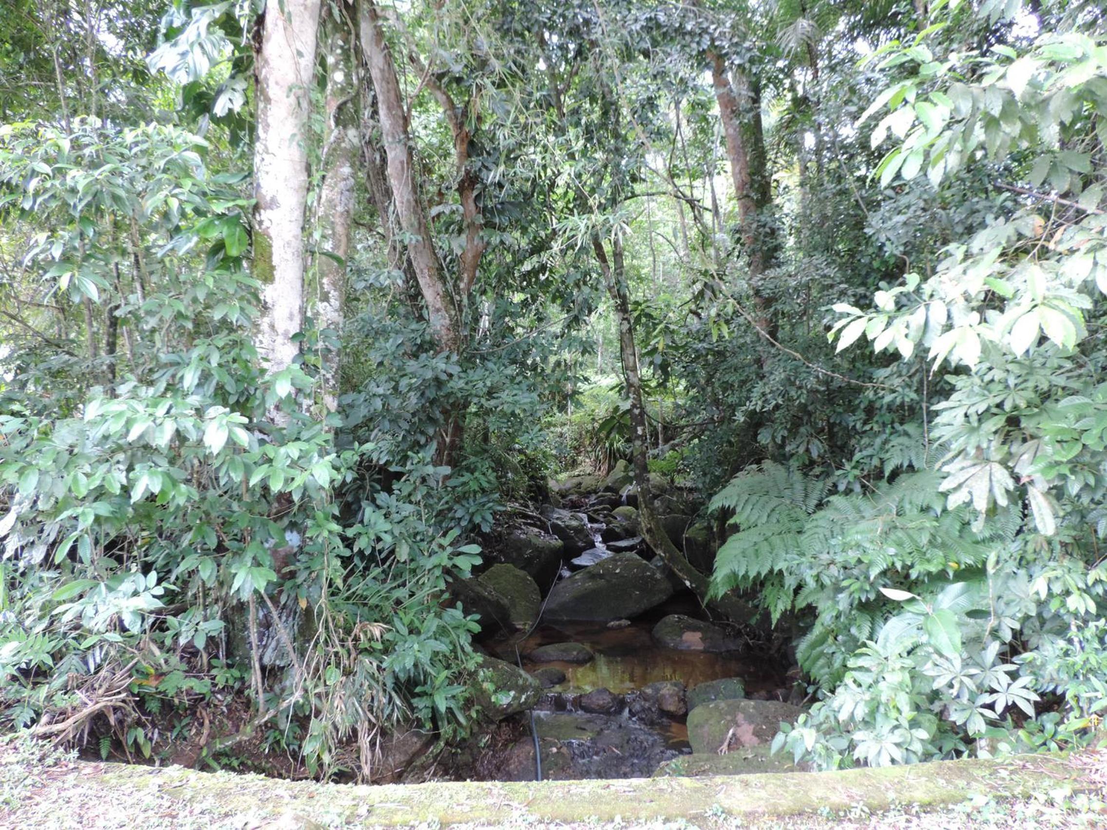 Casa Orquídeas Ubatuba Praia da Lagoinha