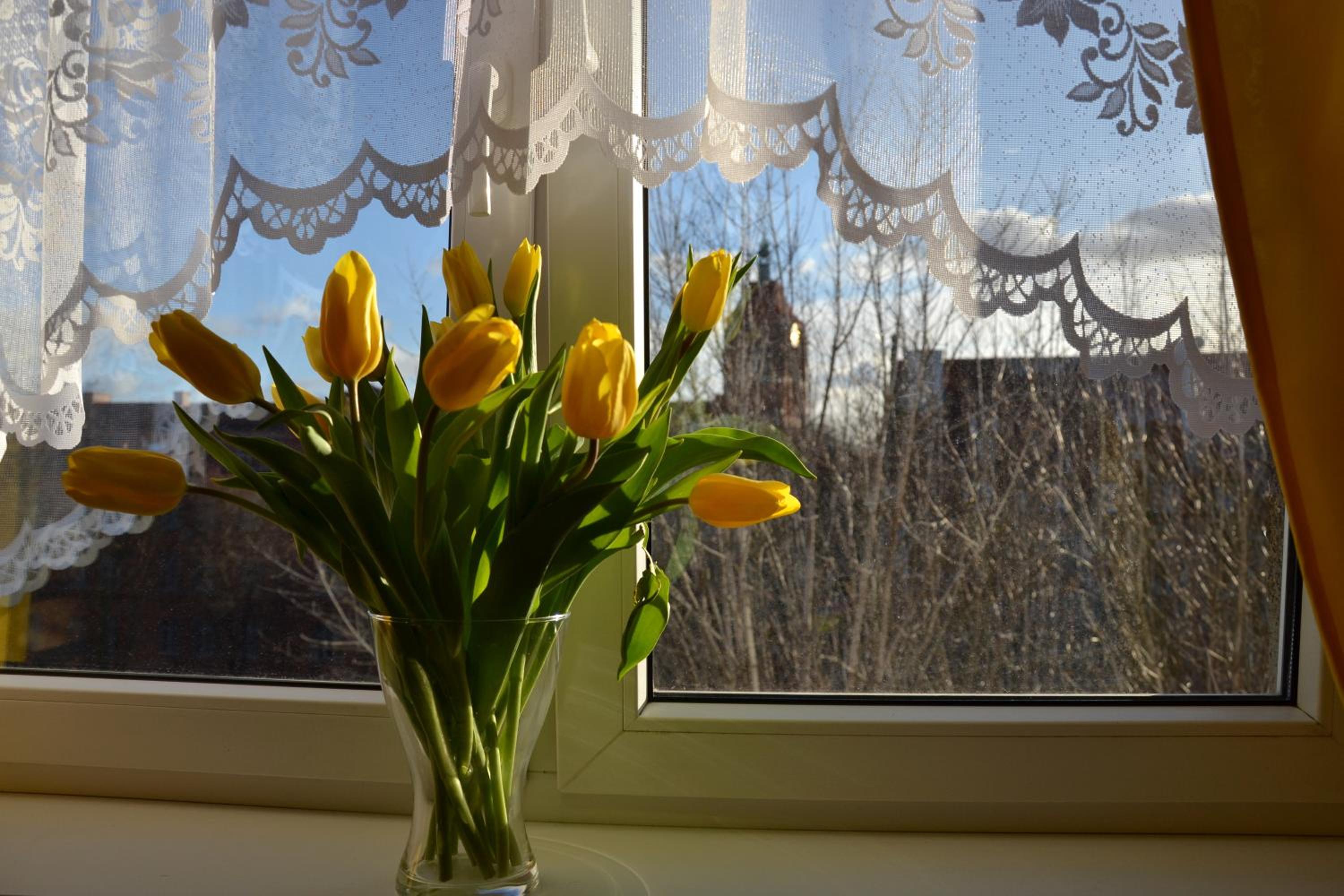 Romantic Old City Gdansk view 5