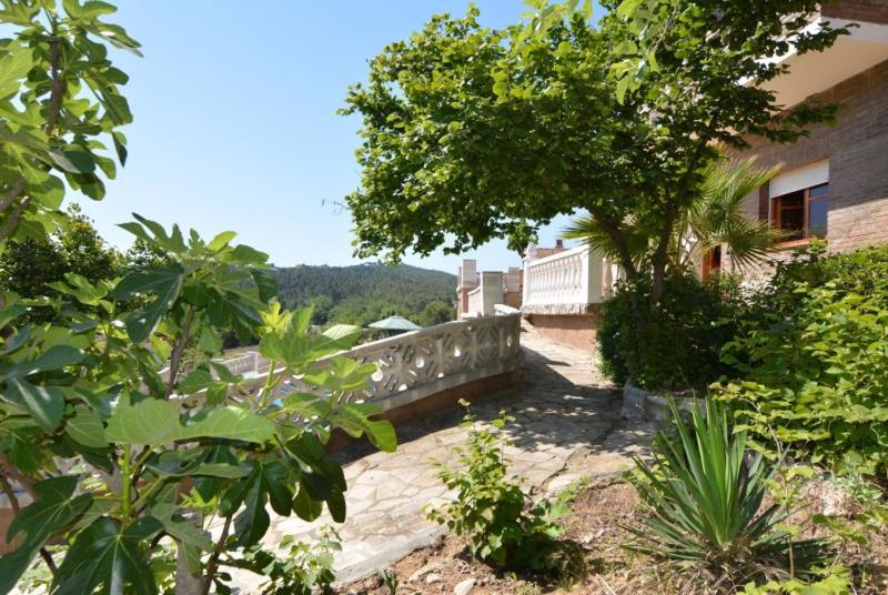 Club Villamar - Poppy view 5