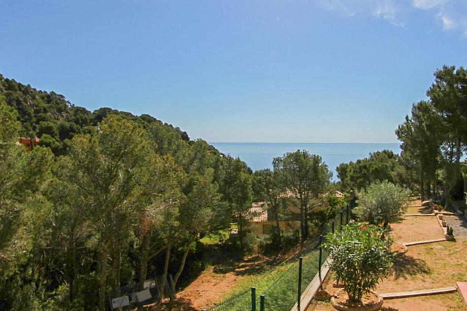 Club Villamar - Rosa del Vents view 4