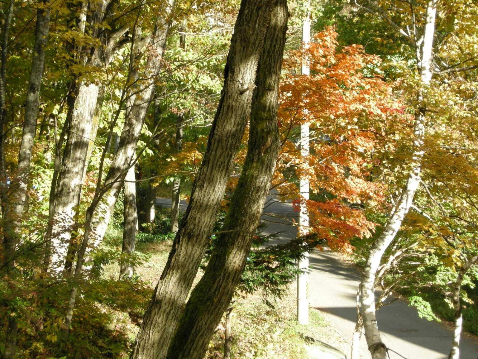 Photo 21