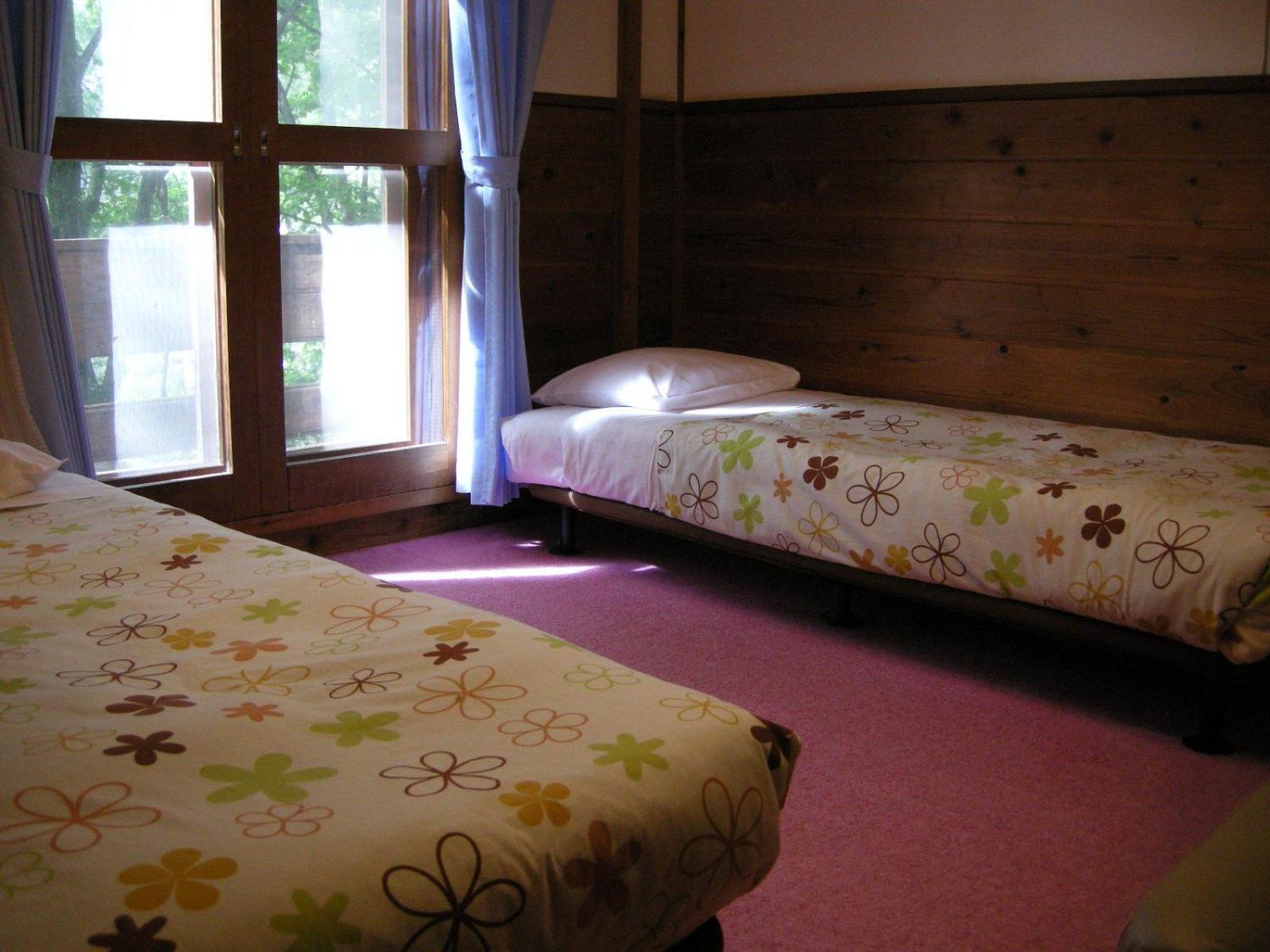 Hayashi Pension view 2