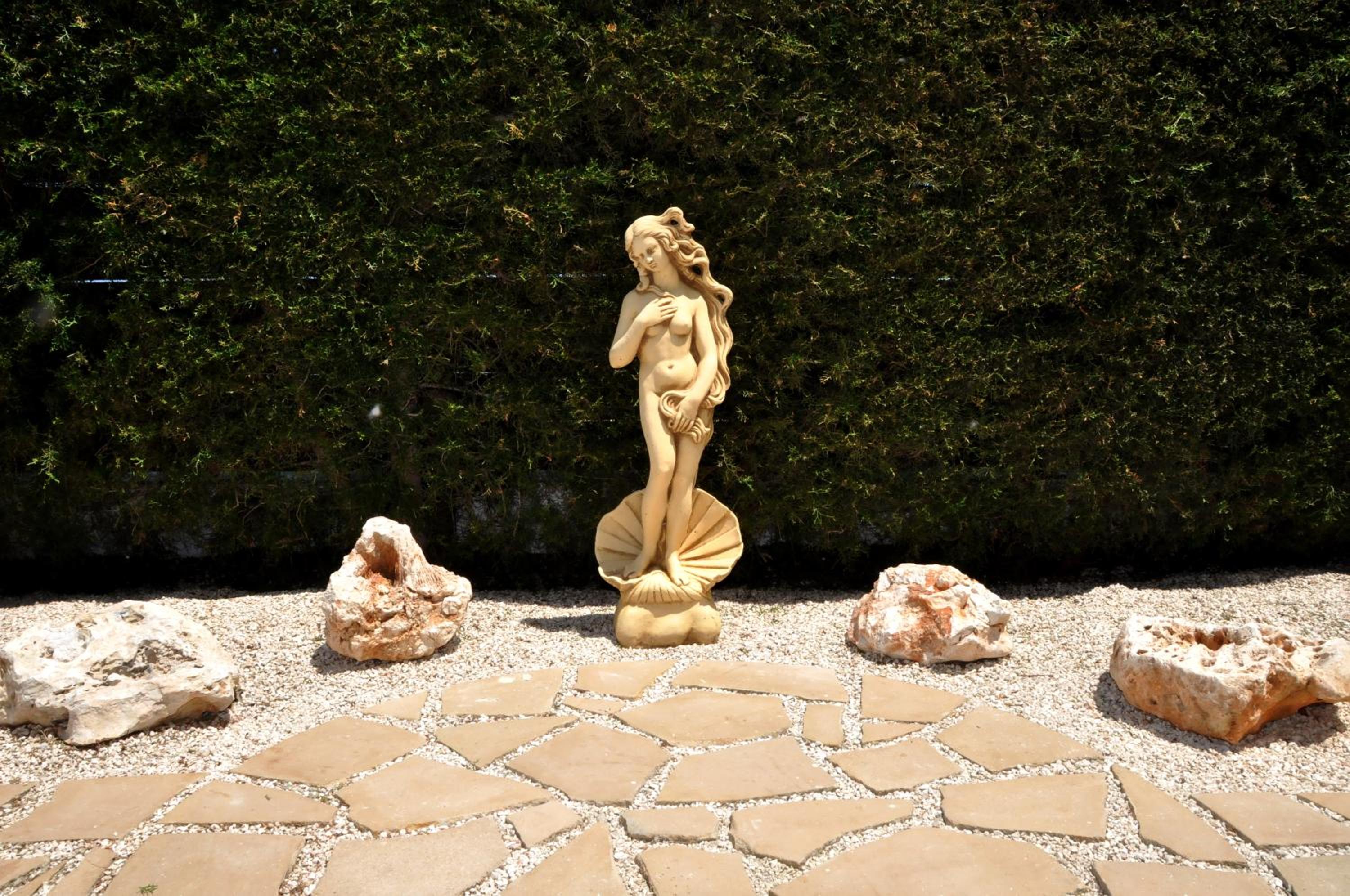 Photo 45