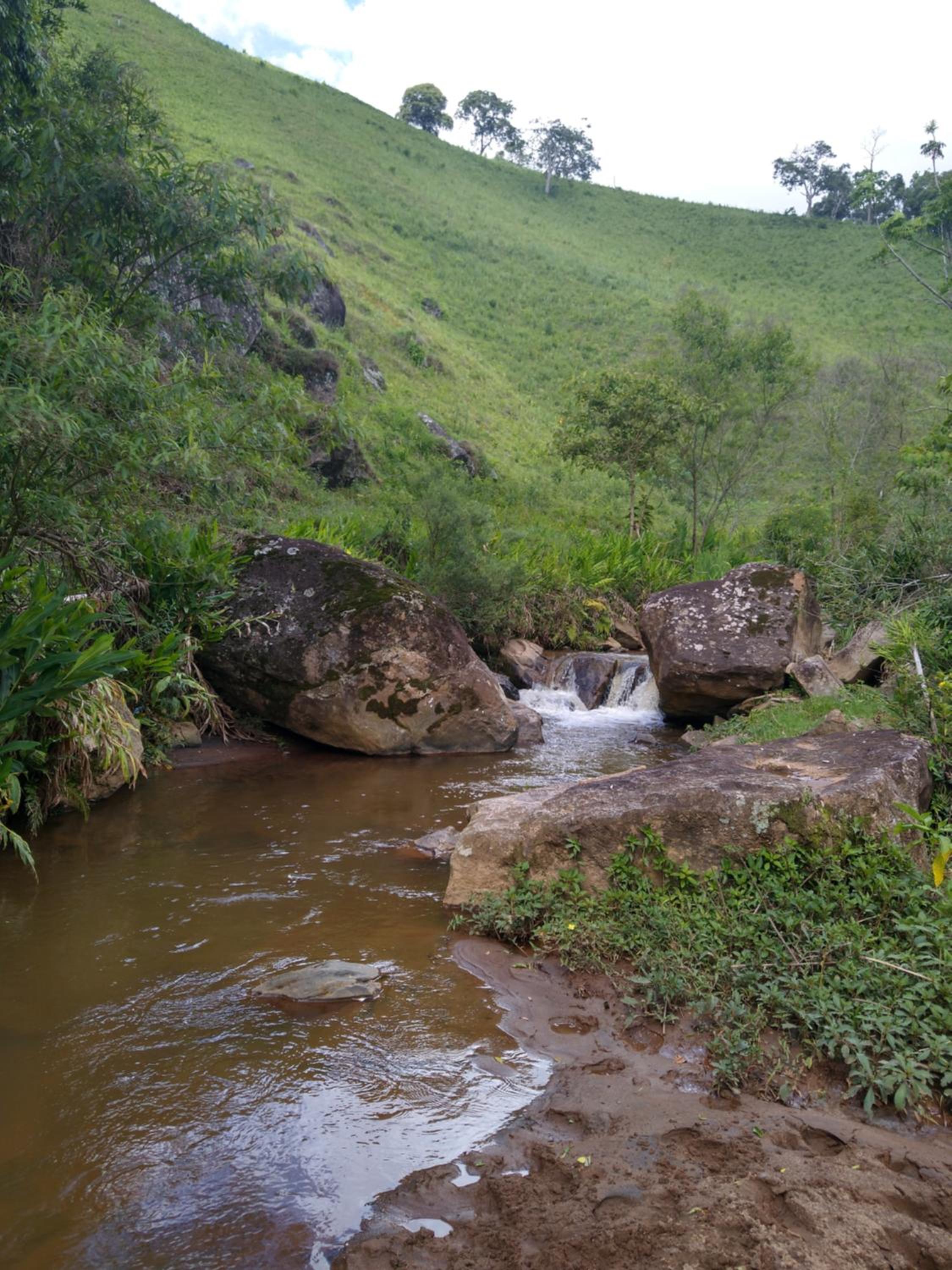 Recanto das Videiras, photo 84