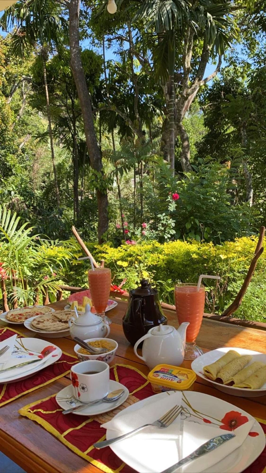 Mango Shadow Inn Ella view 3