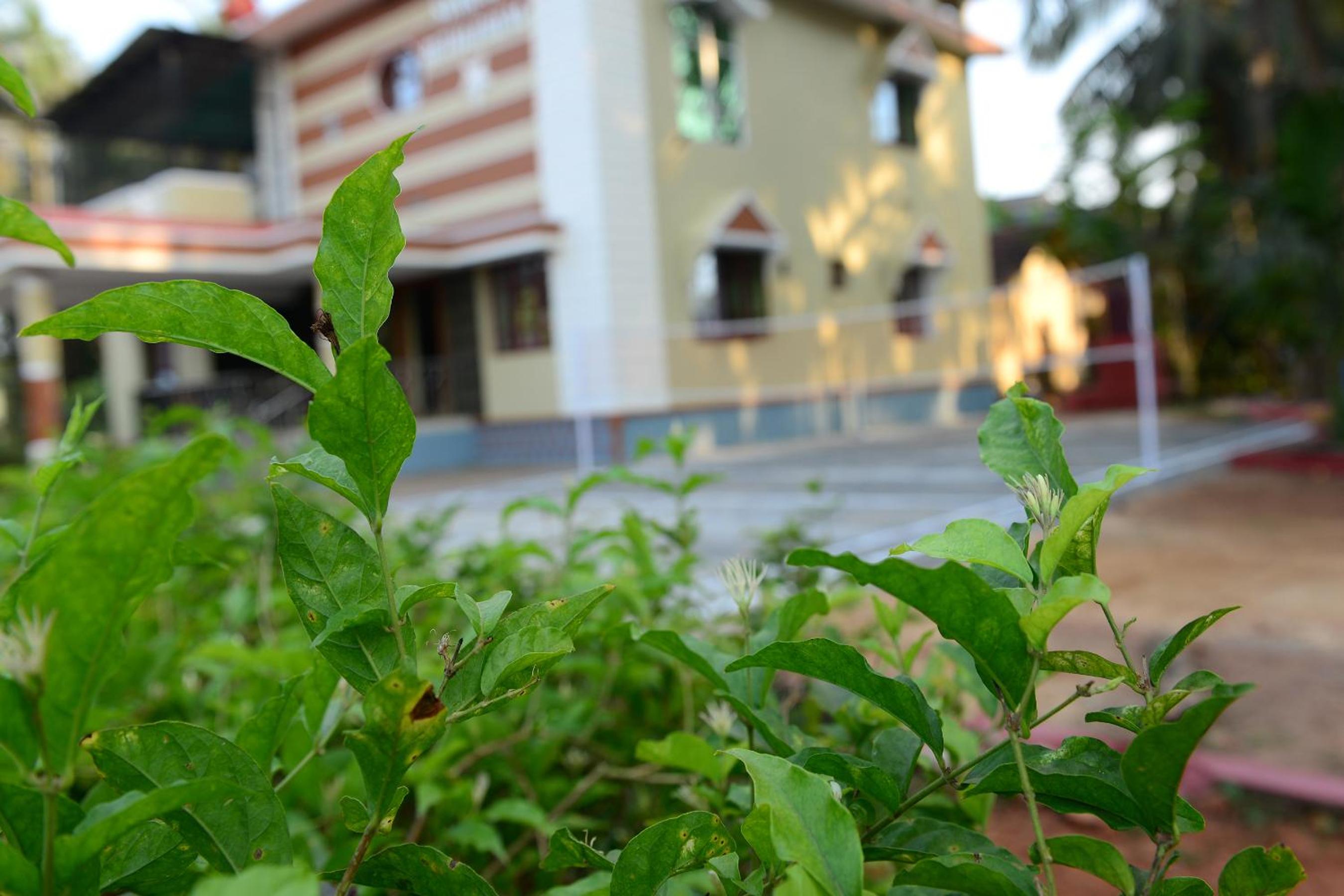 jasmine land homestay view 3