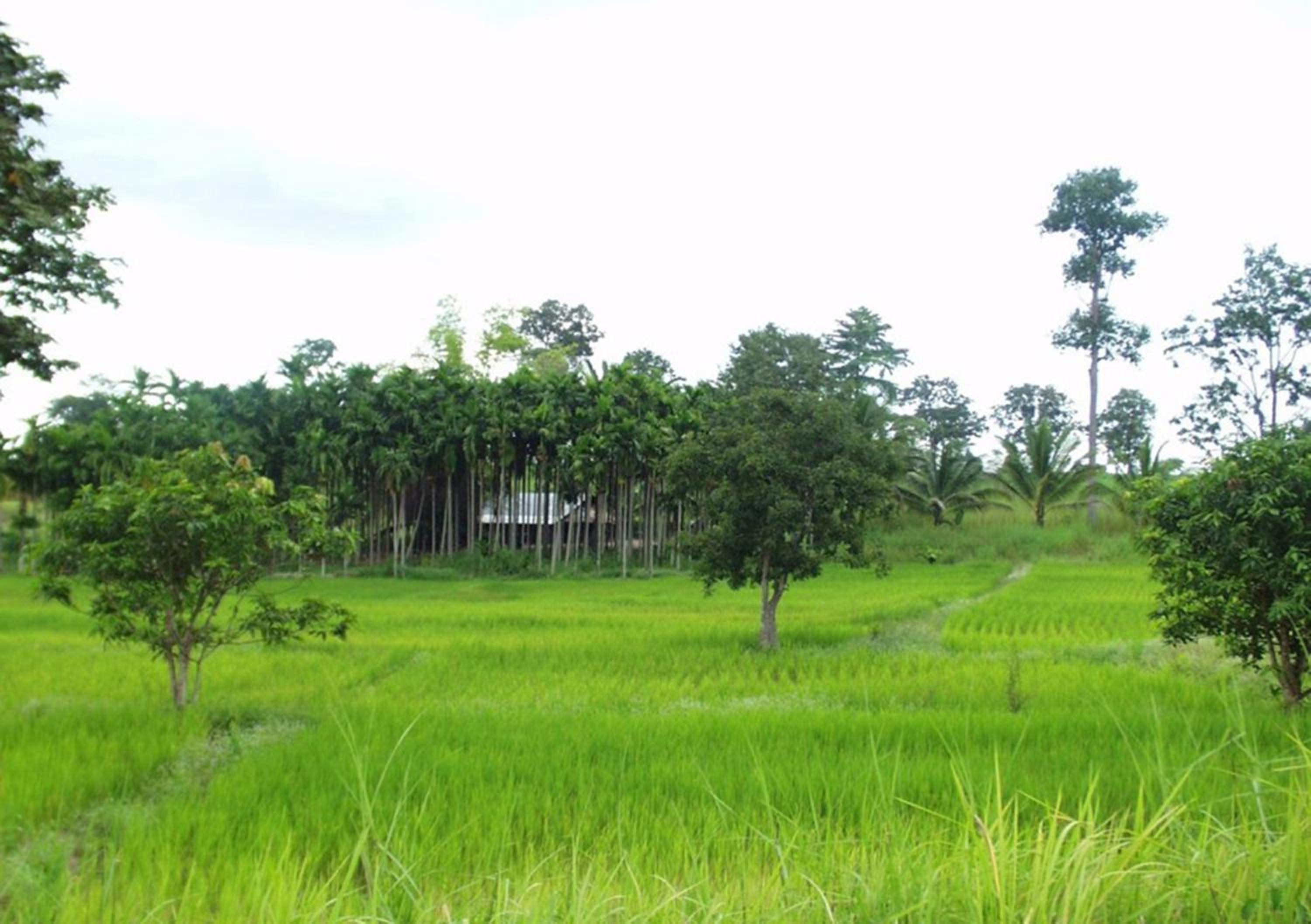 Phu View Hideaway
