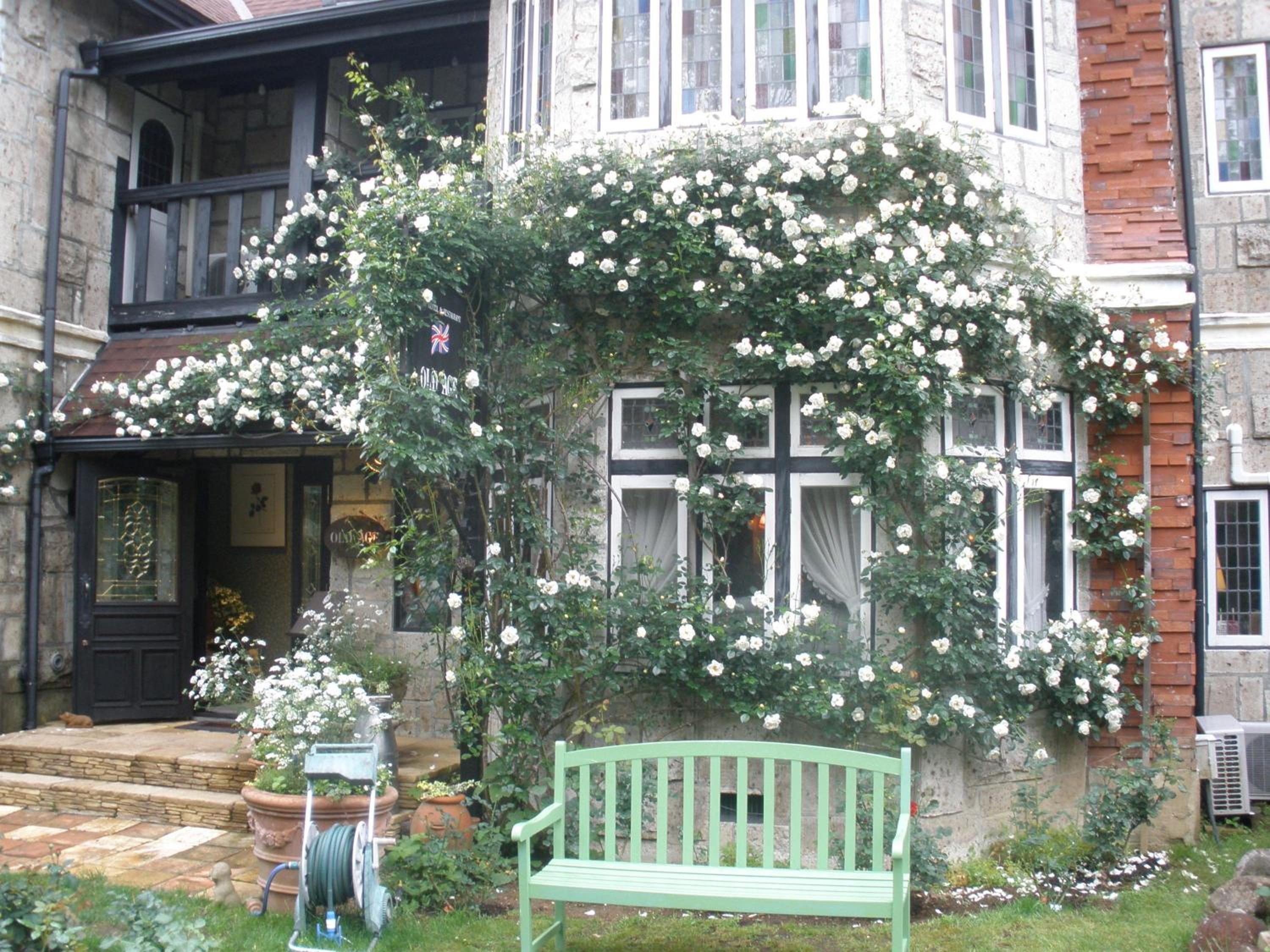 Petit Hotel & Restaurant Old Age, Hokuto - 11