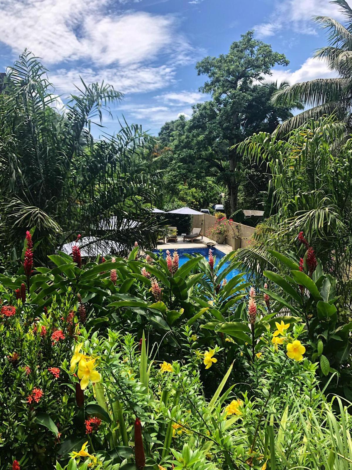 Eden Hills Residence photo 5