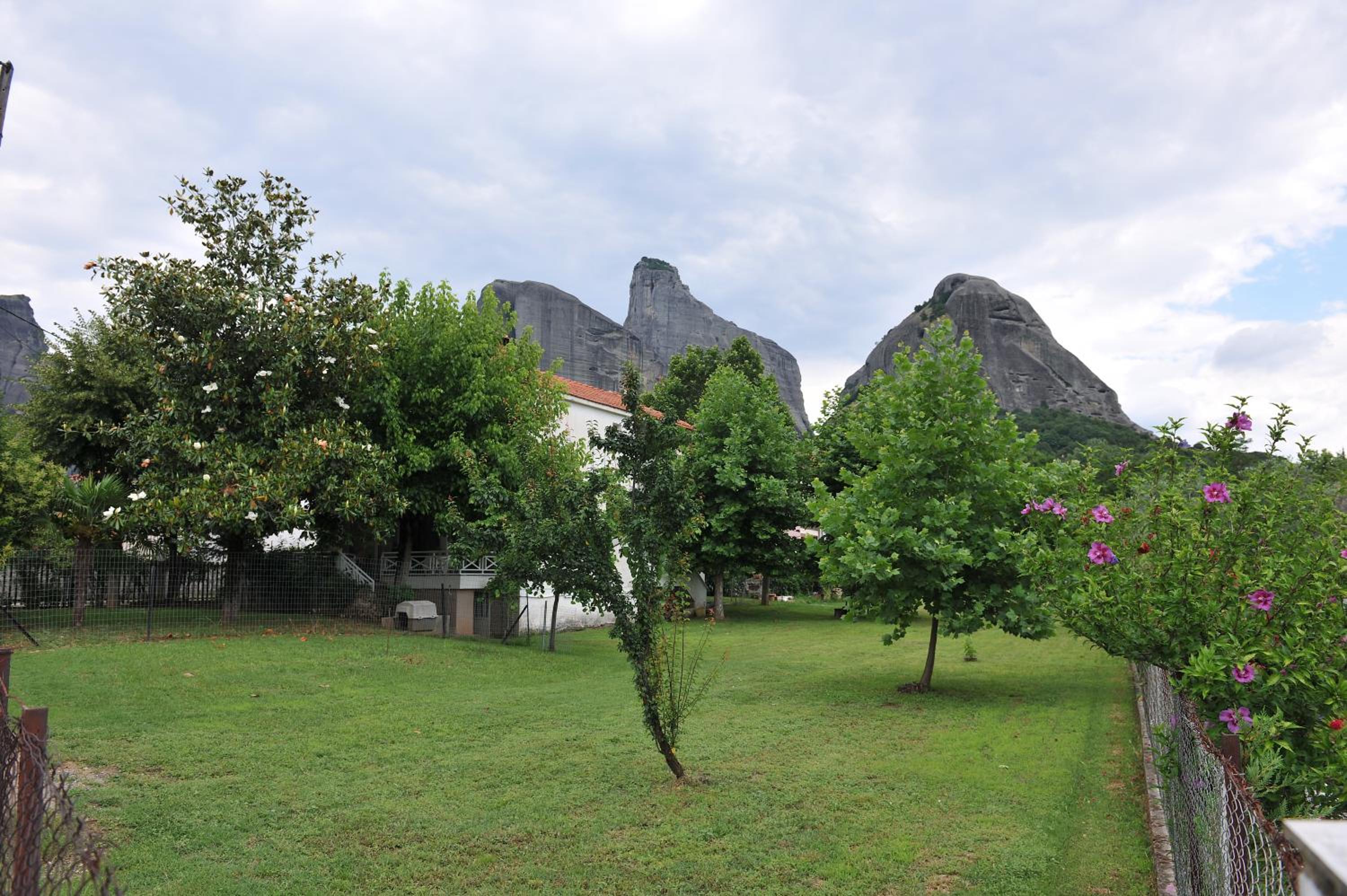 Photo 7